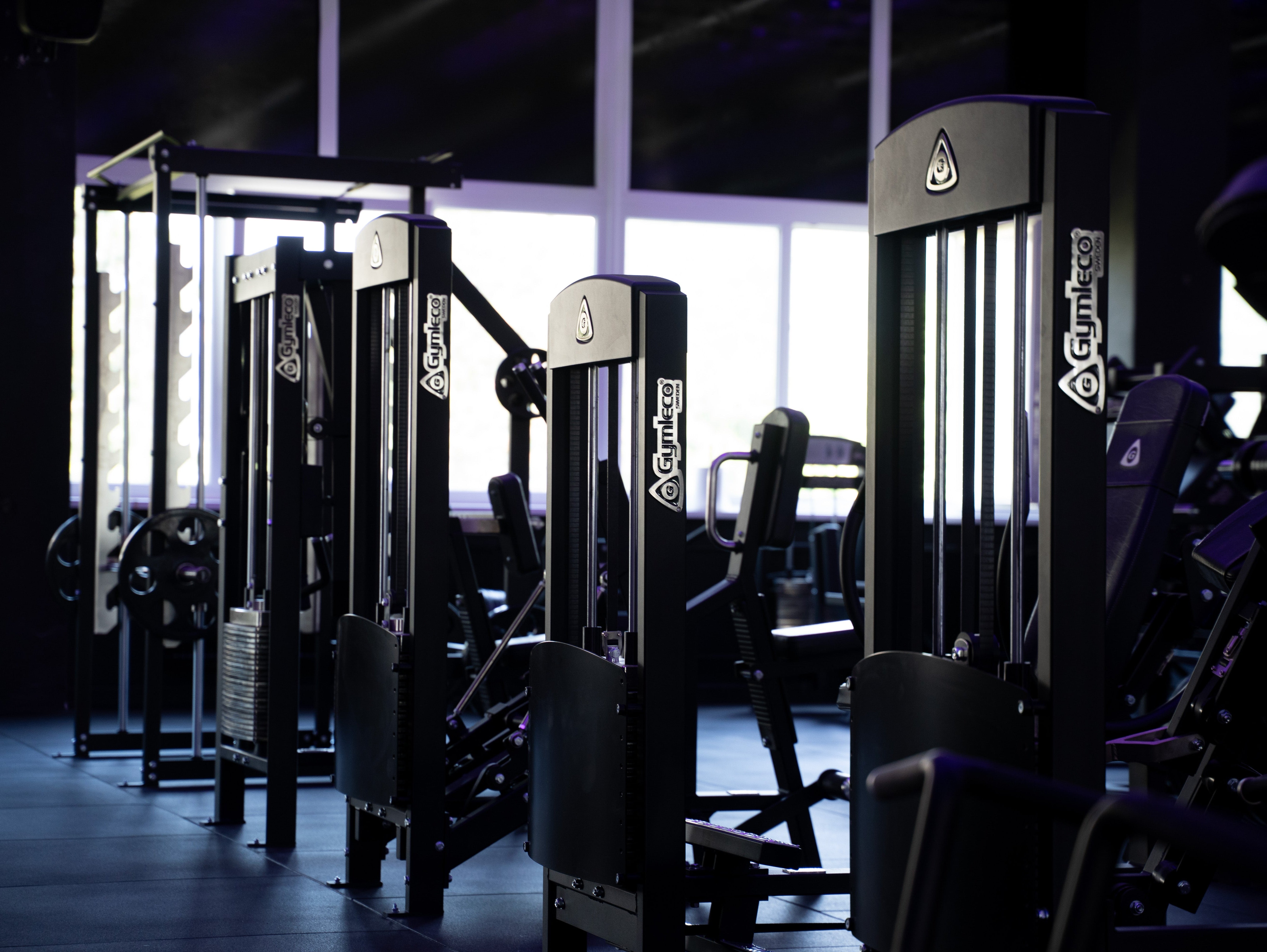 Stallion Premium Fitness