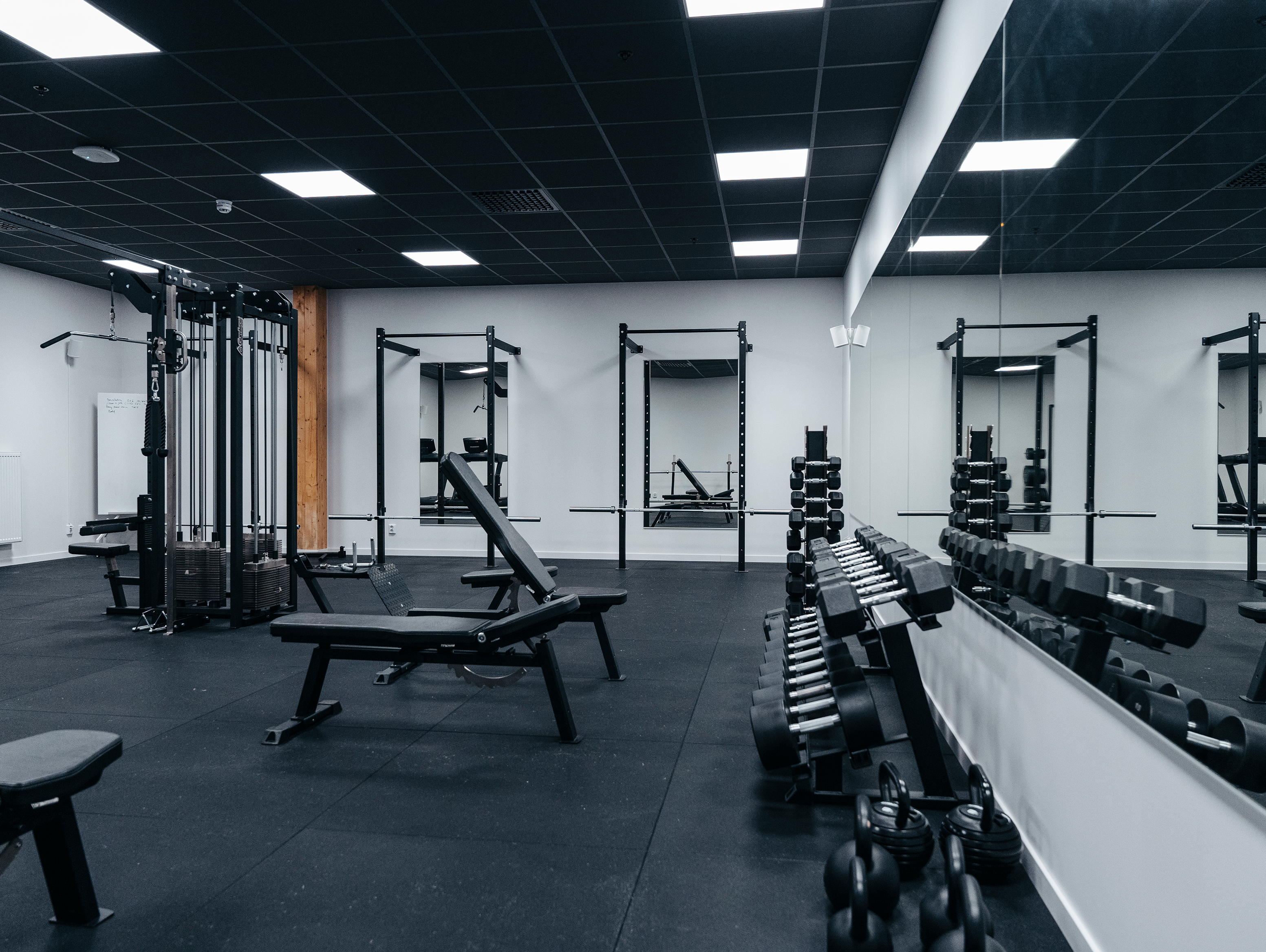 A picture of MM Sports gym. Free weights and machines in the background.