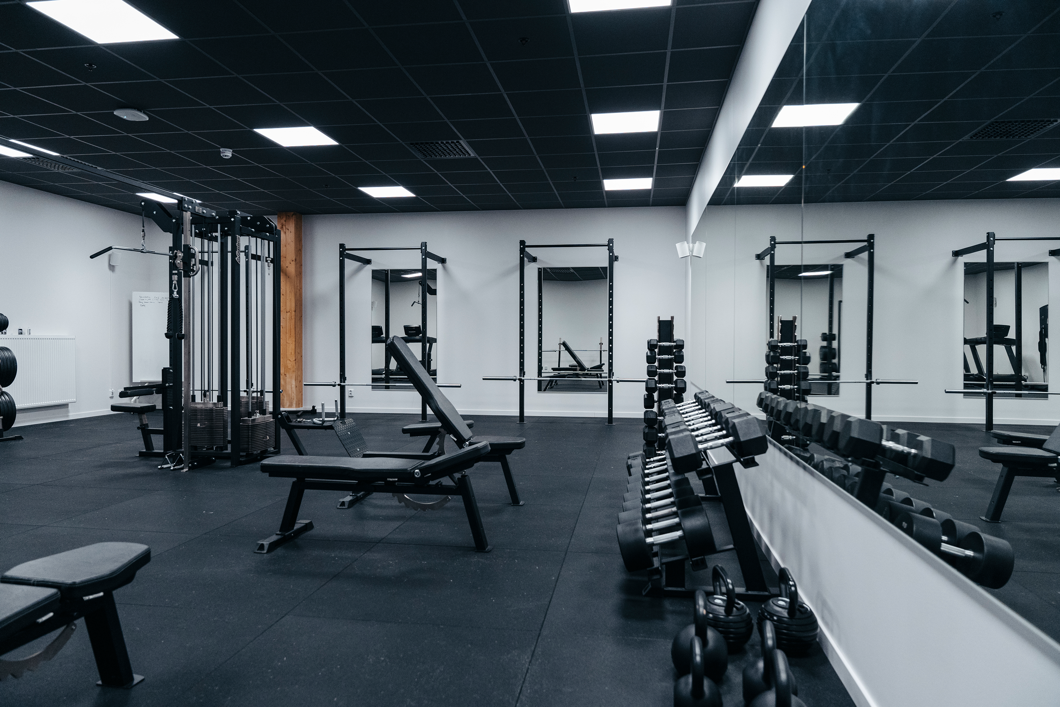 A picture of MM Sports gym. Free weights and machines in the background.