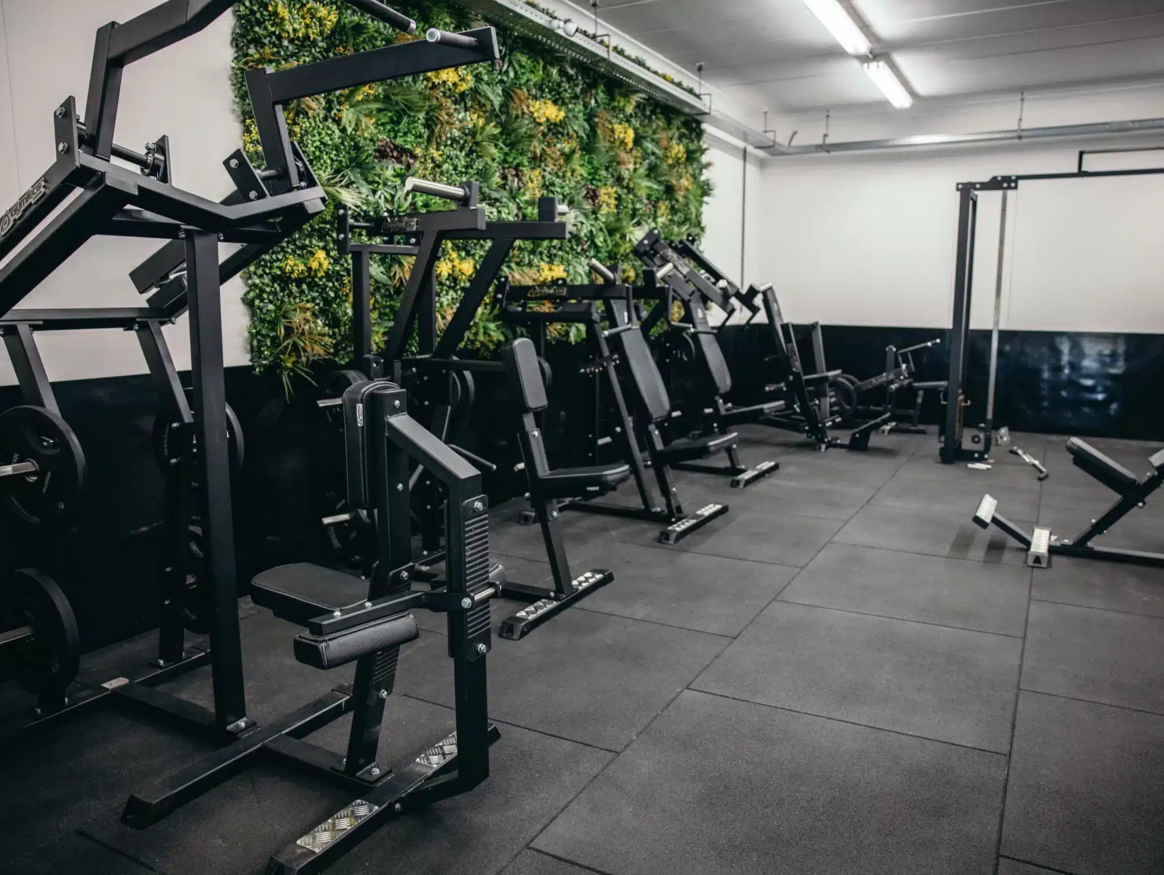 Guide to Starting and Running a Successful PT Studio