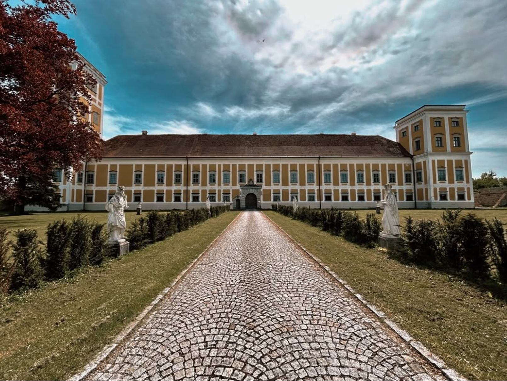 Grand opening of Austria's newest showroom