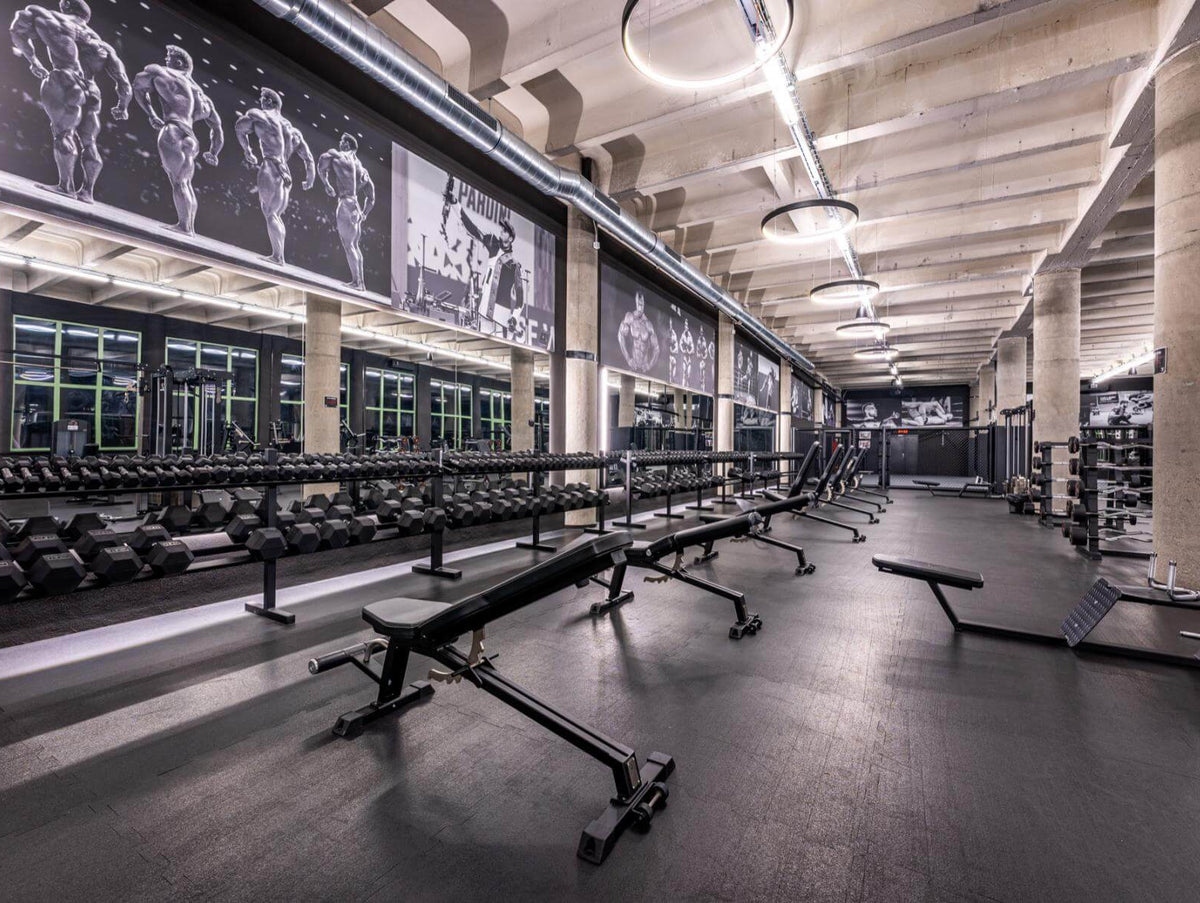 Gymleco equipment at Legends Gym