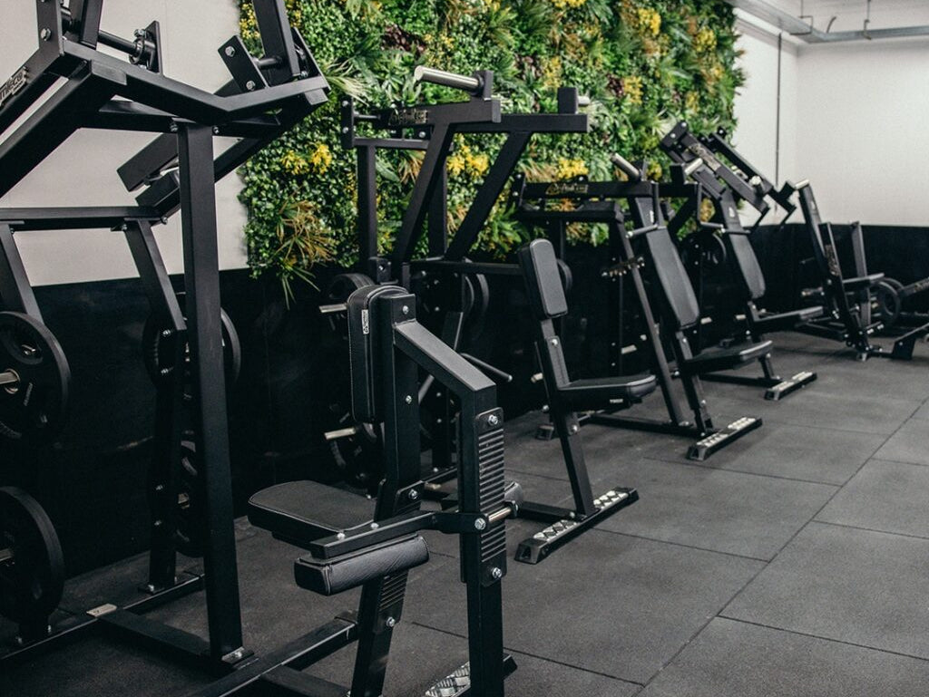 Jungle of Gains
