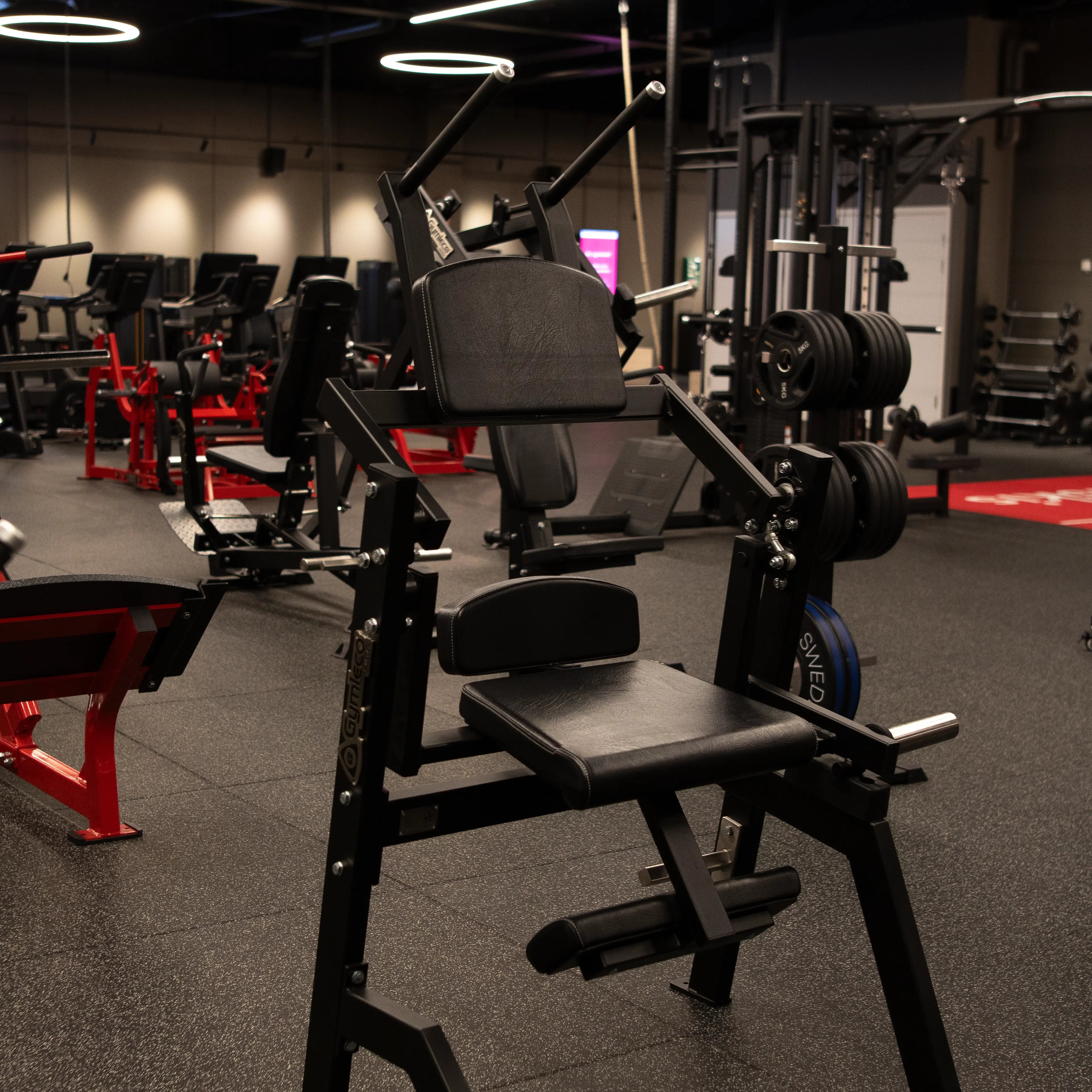 070 Seated Abs Machine at gym