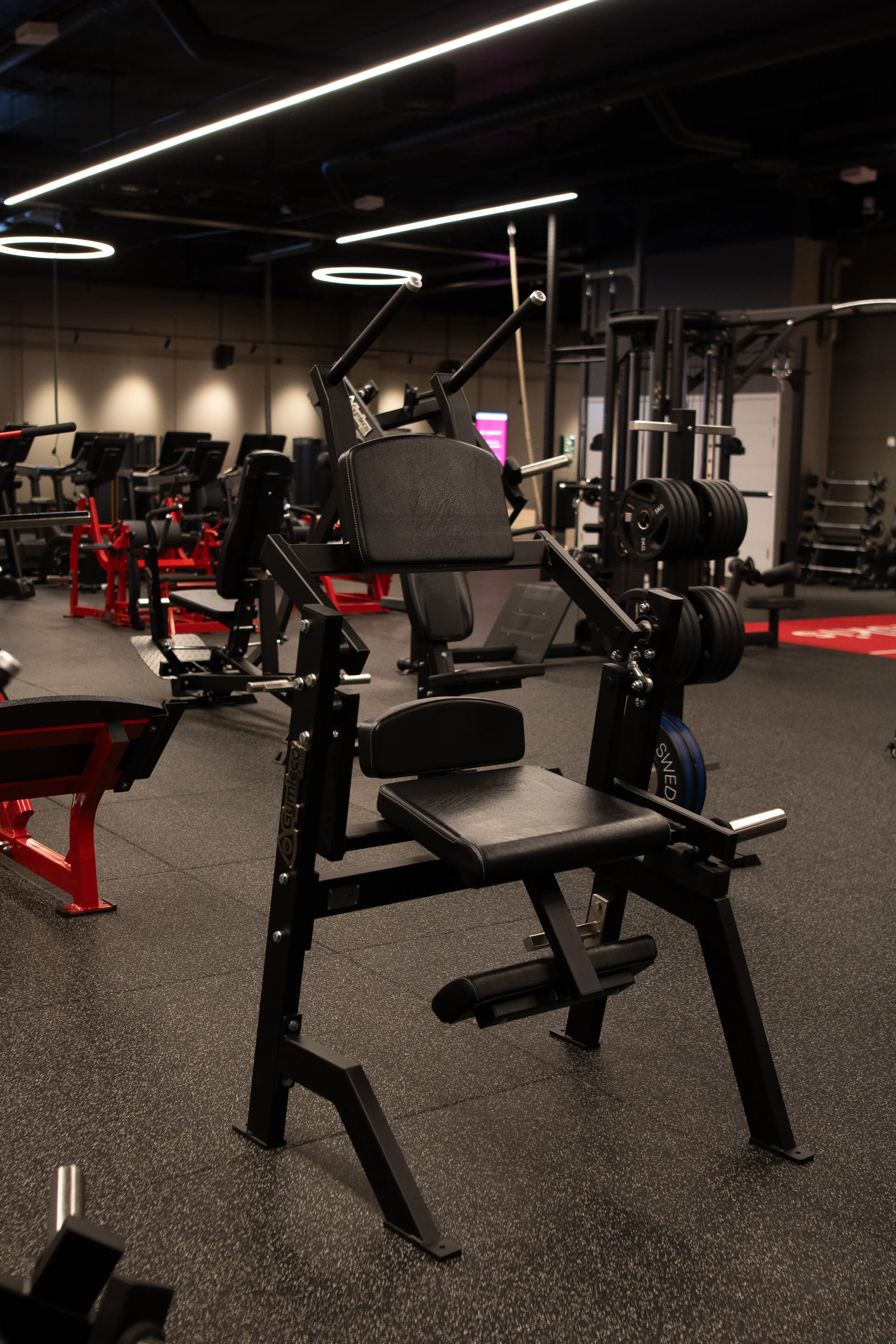 070 Seated Abs Machine at gym