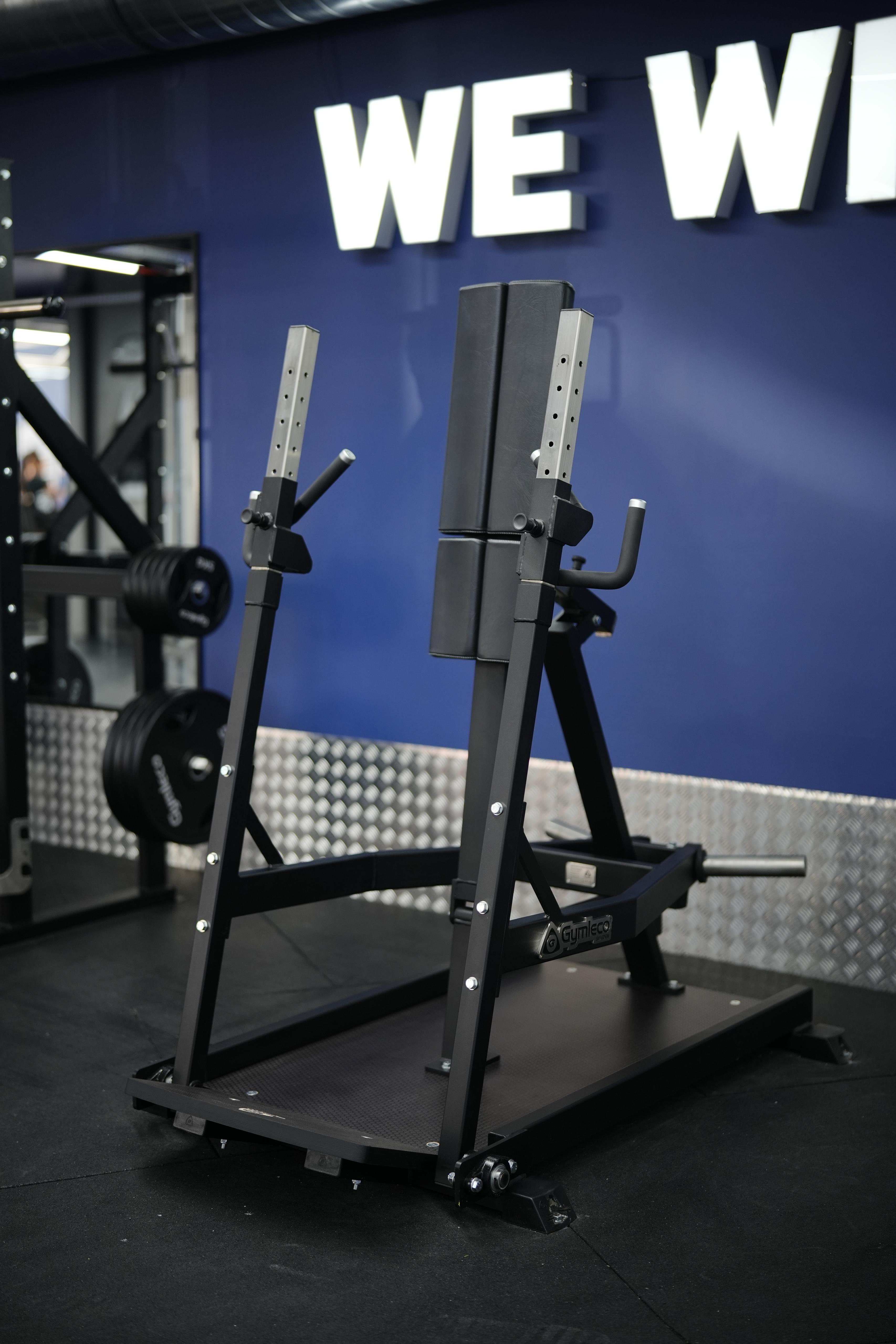 028 Standing Chest Press