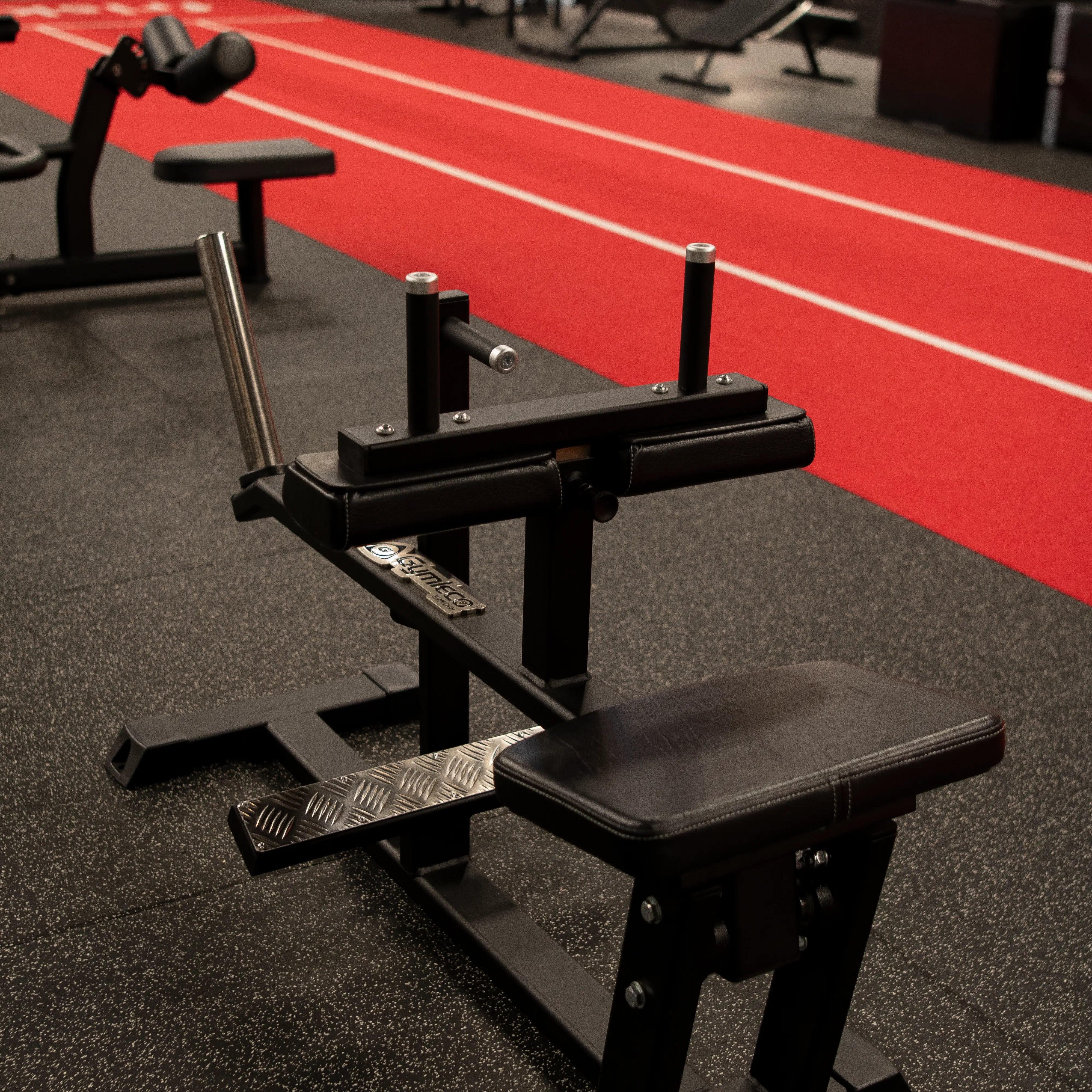 145 Seated Calf Press at gym