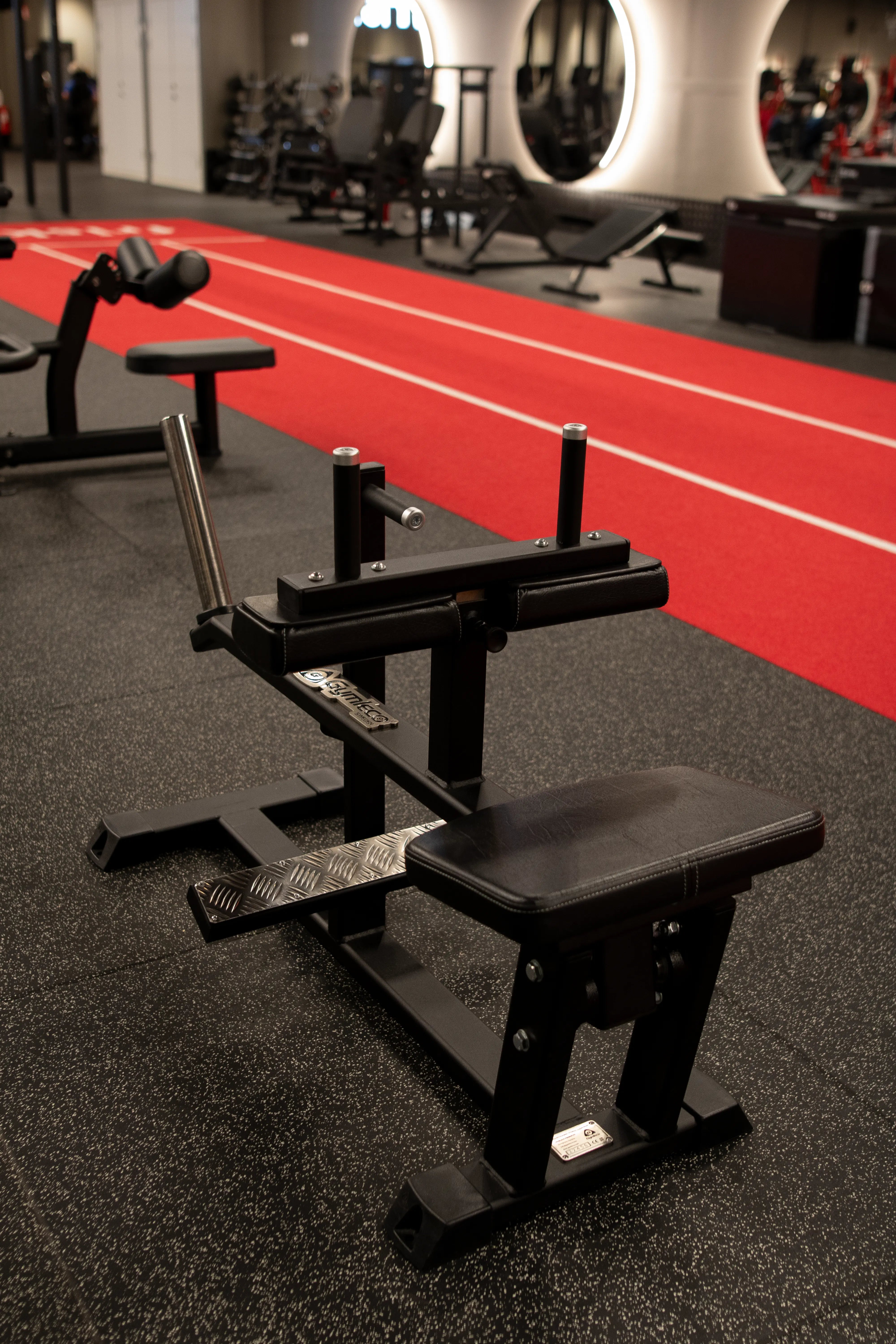 145 Seated Calf Press at gym
