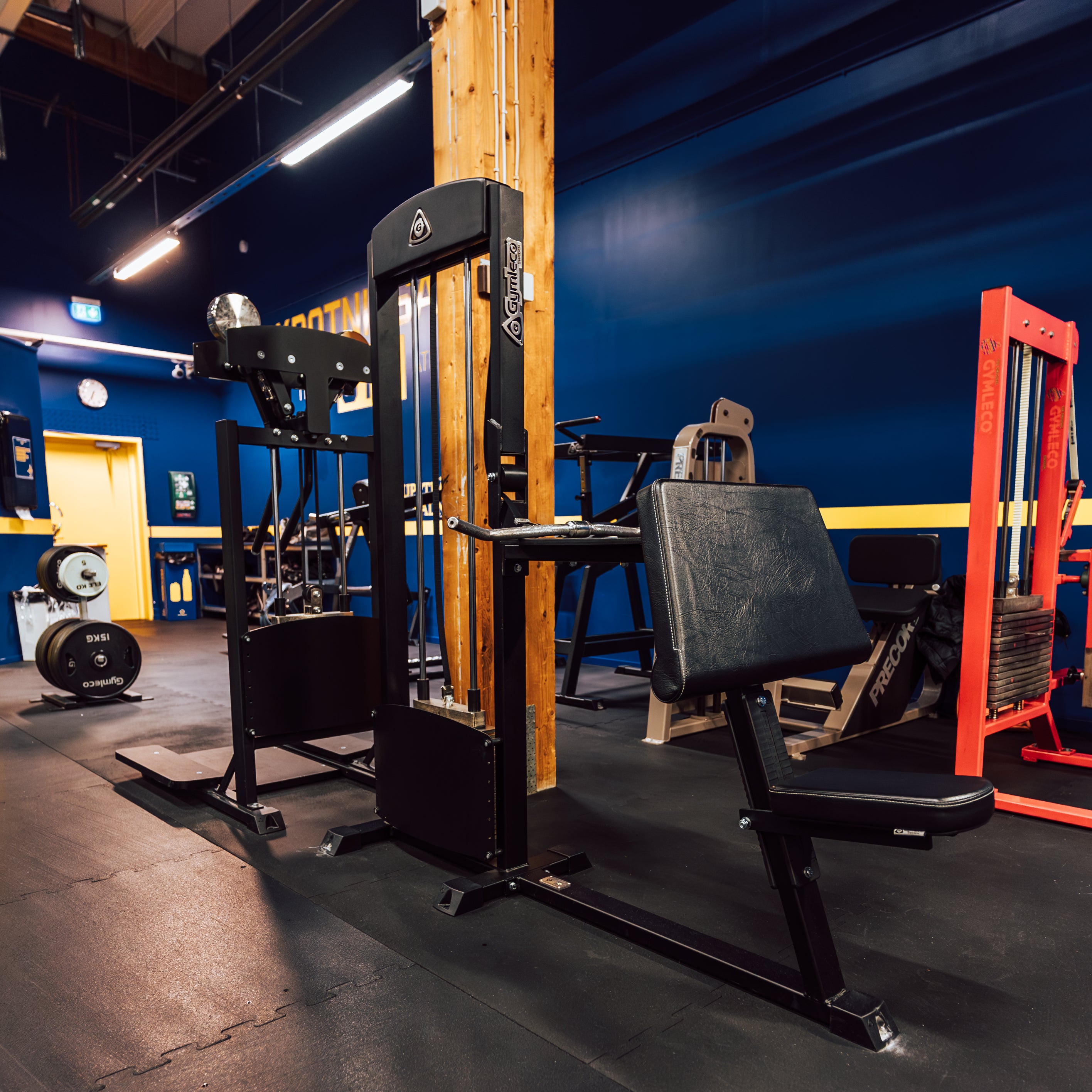 255 Biceps Curl/Triceps Extension