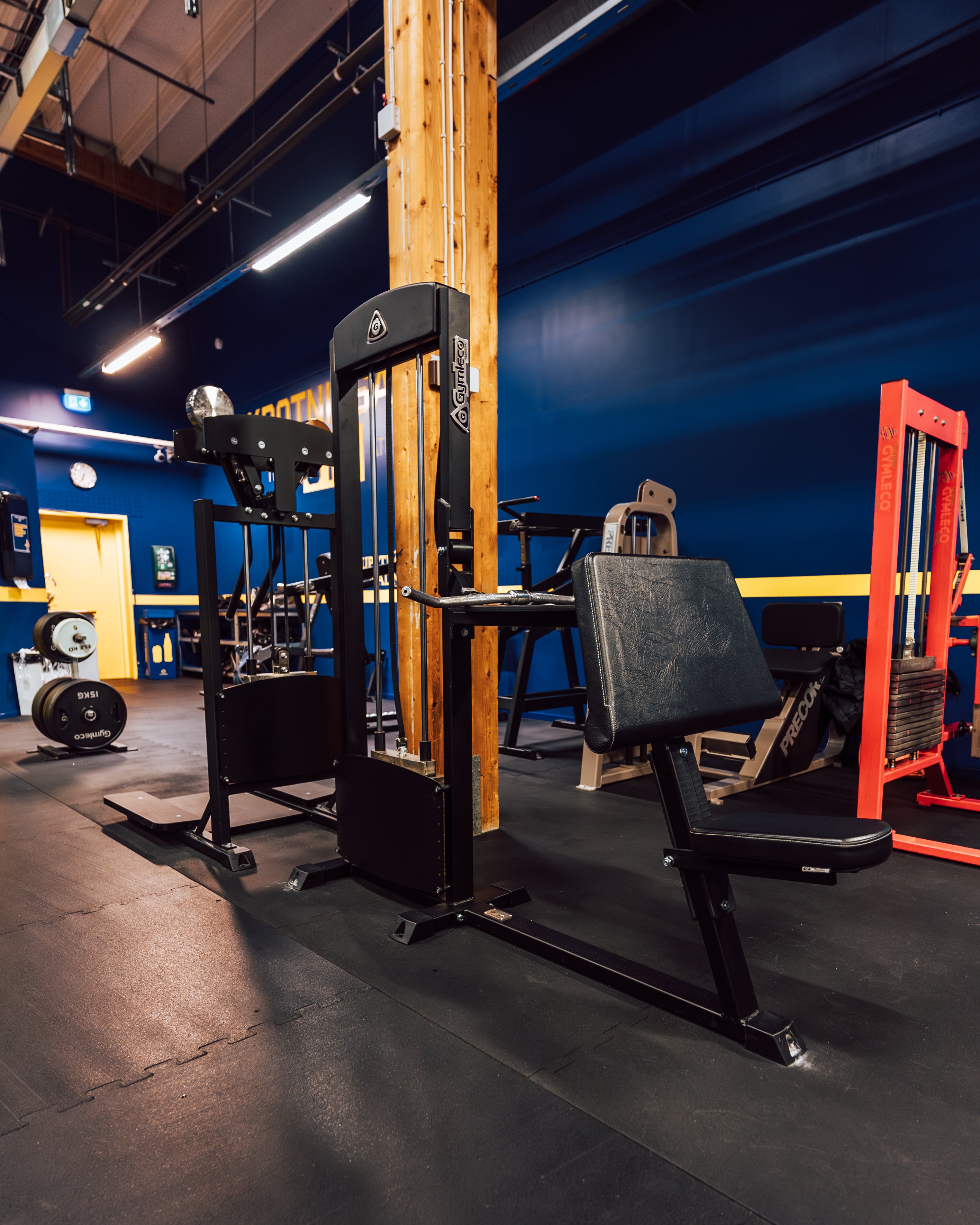 255 Biceps Curl/Triceps Extension