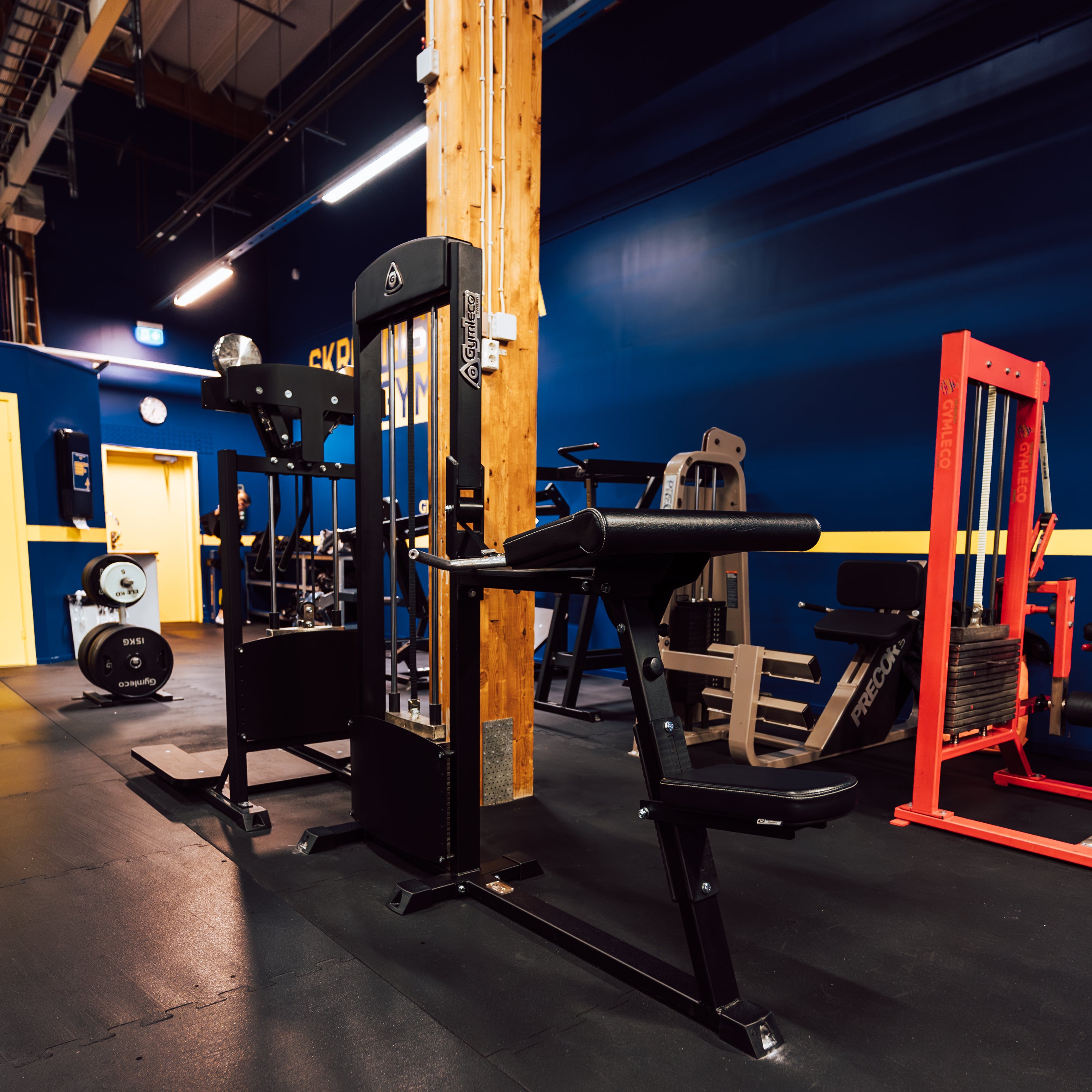 255 Biceps Curl/Triceps Extension