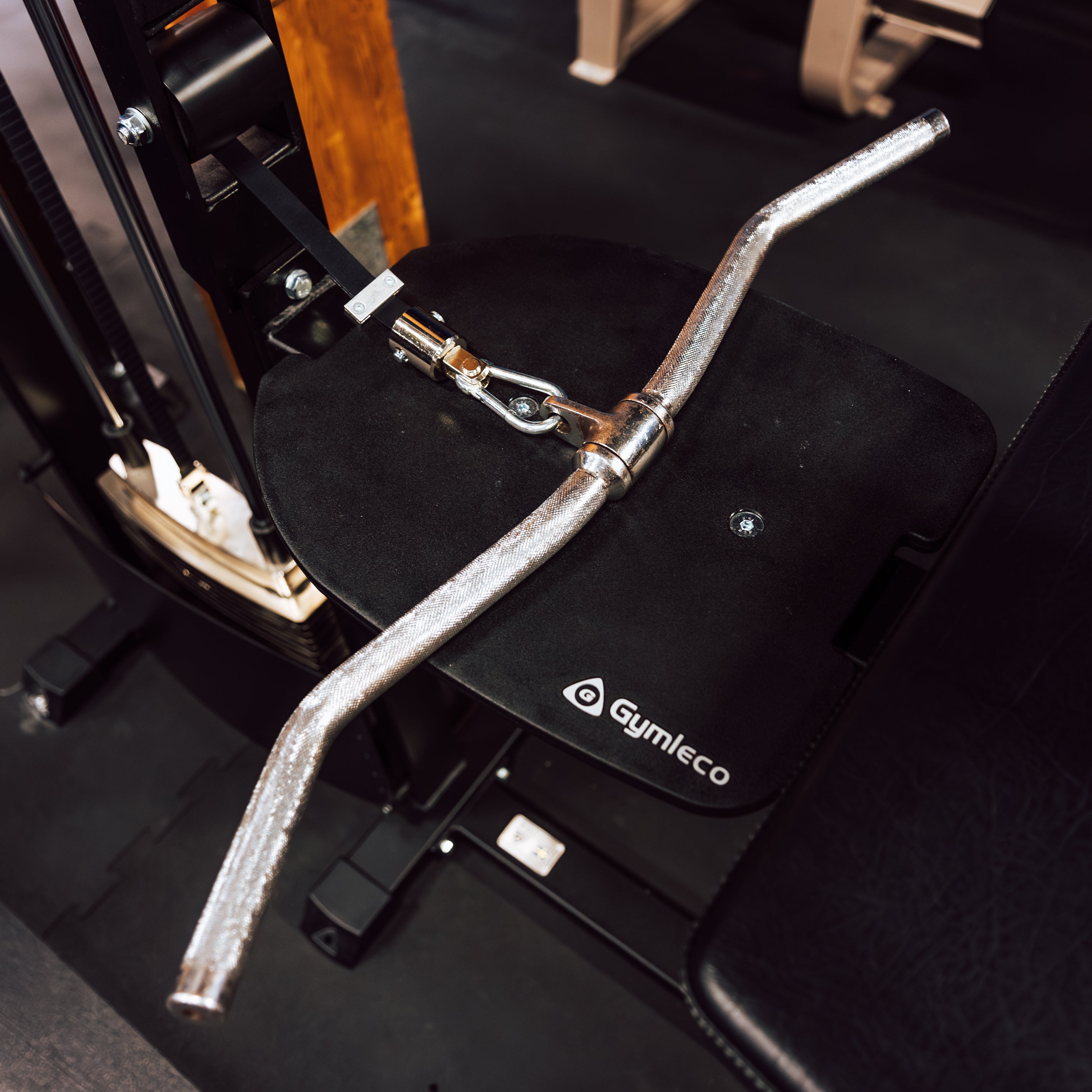 255 Biceps Curl/Triceps Extension handle