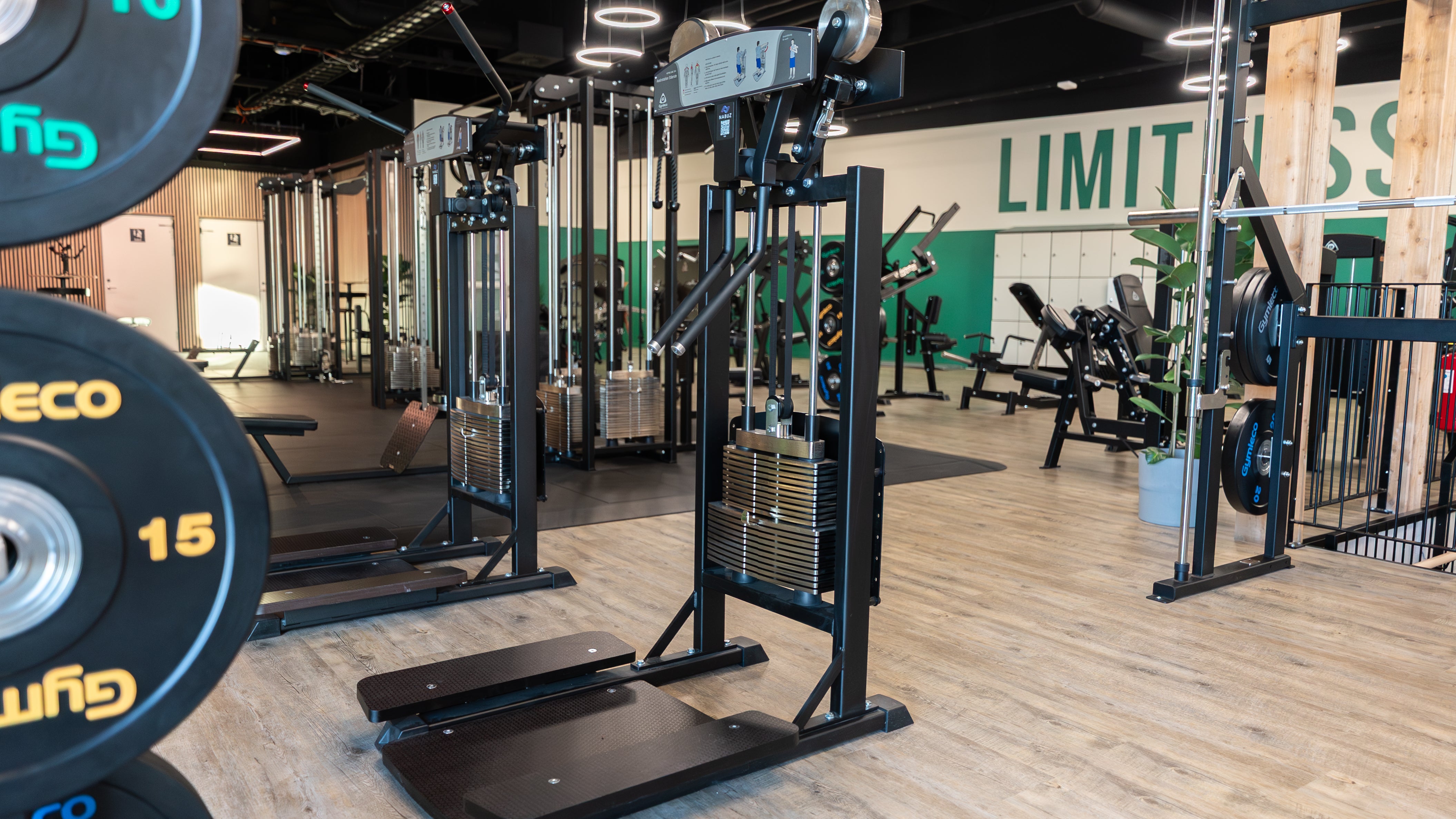 334 Standing Side Lateral at gym