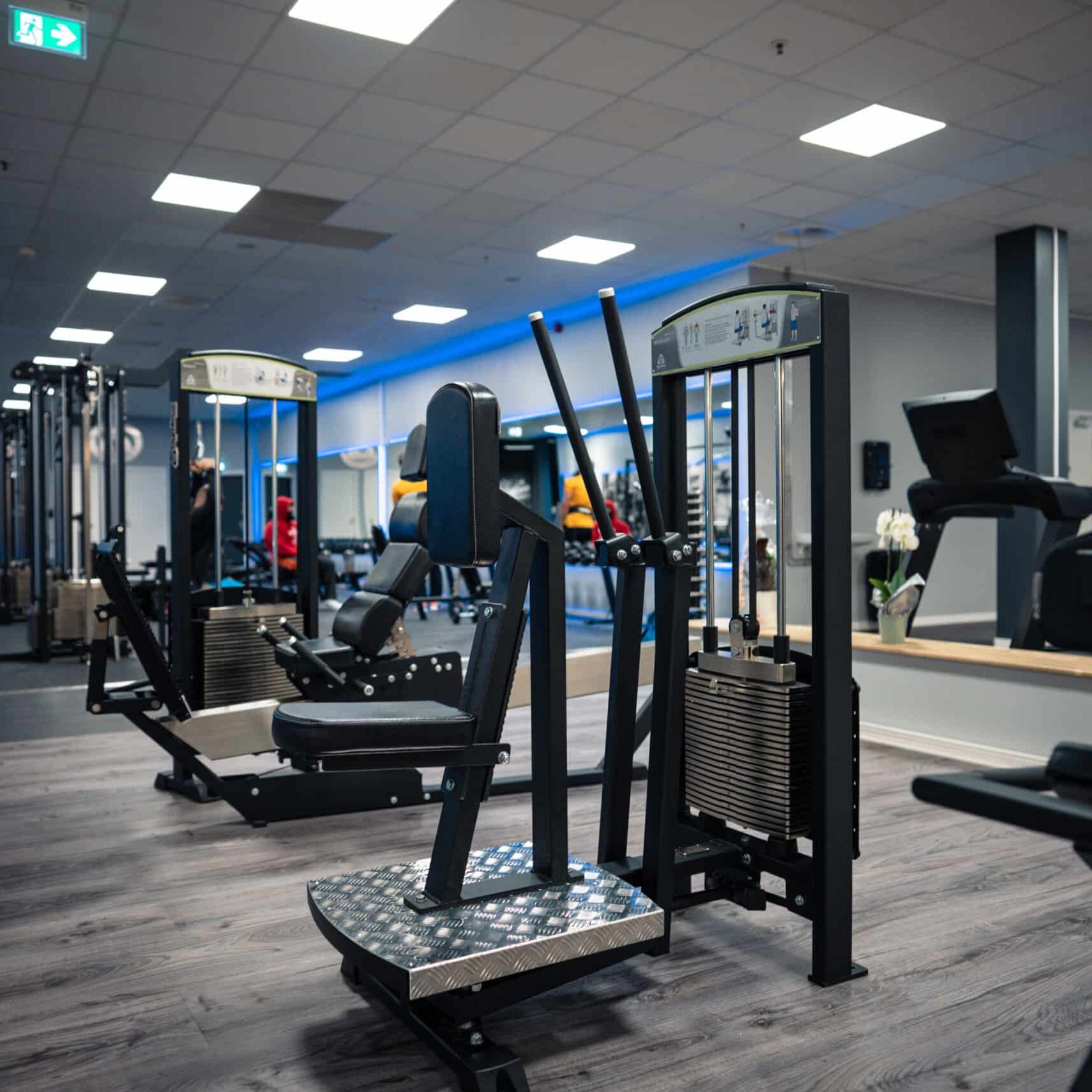 Gymleco 333 Rear Deltoid Shoulder at gym