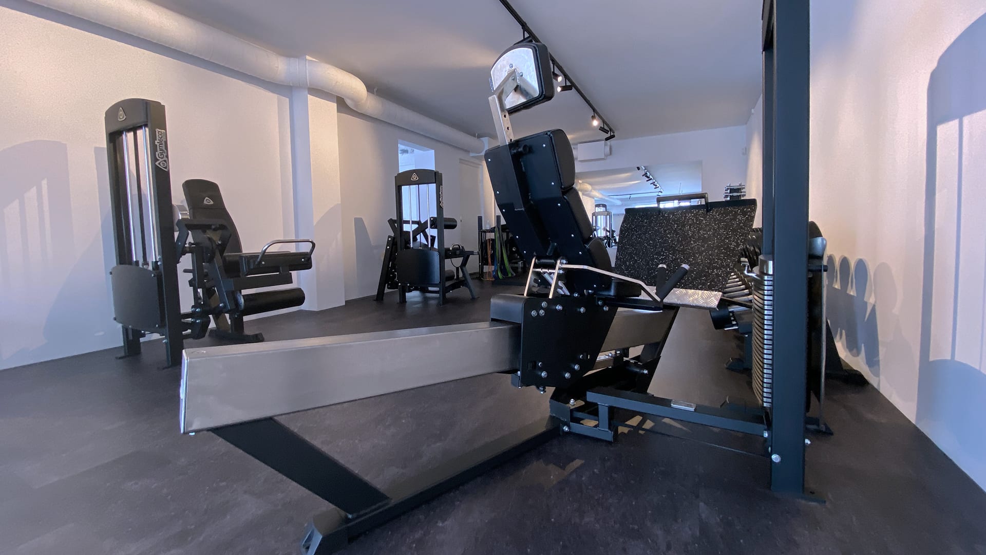 343 Sittande benpress ställbar - 343 seated leg press