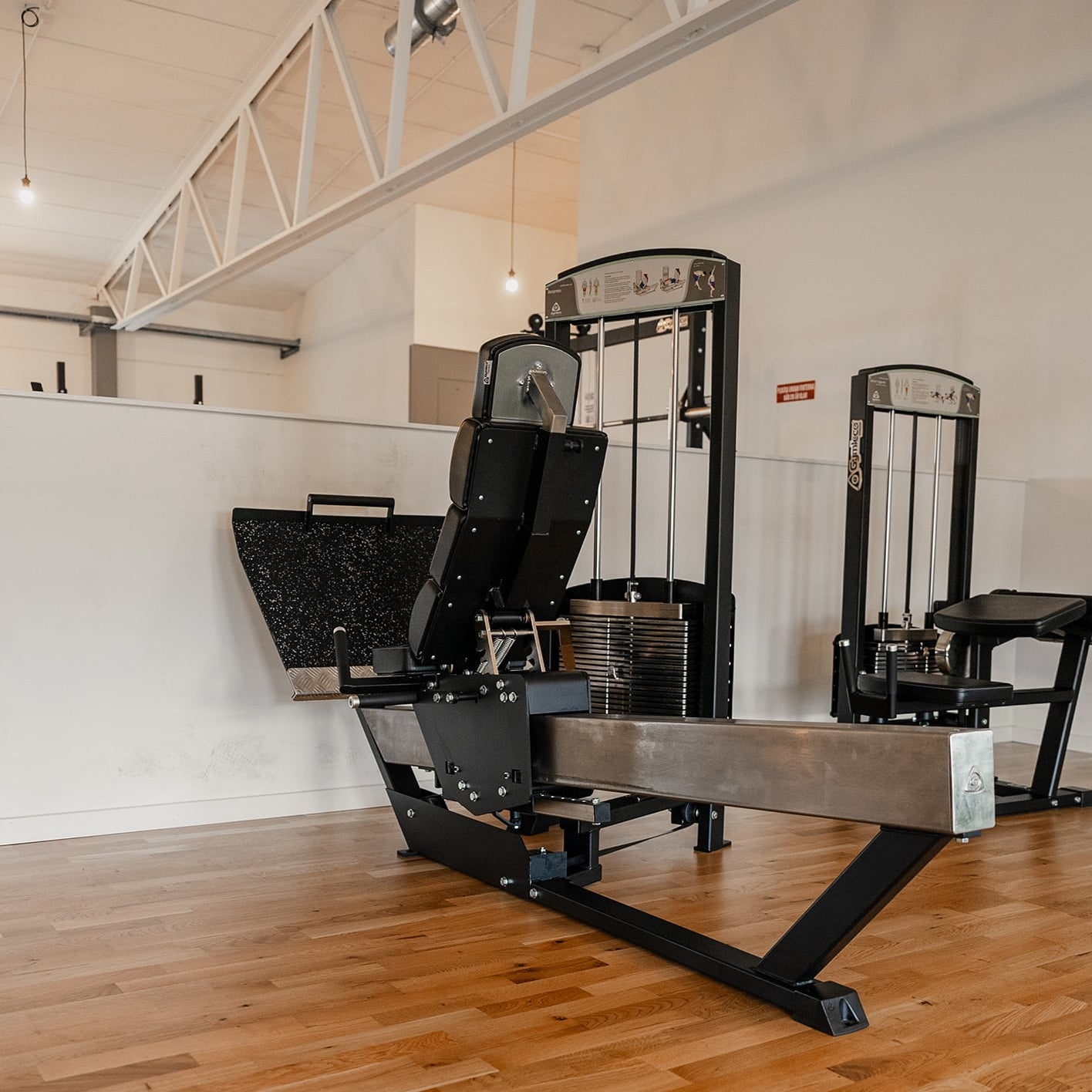 Gymleco 343 Seated Leg Press at gym