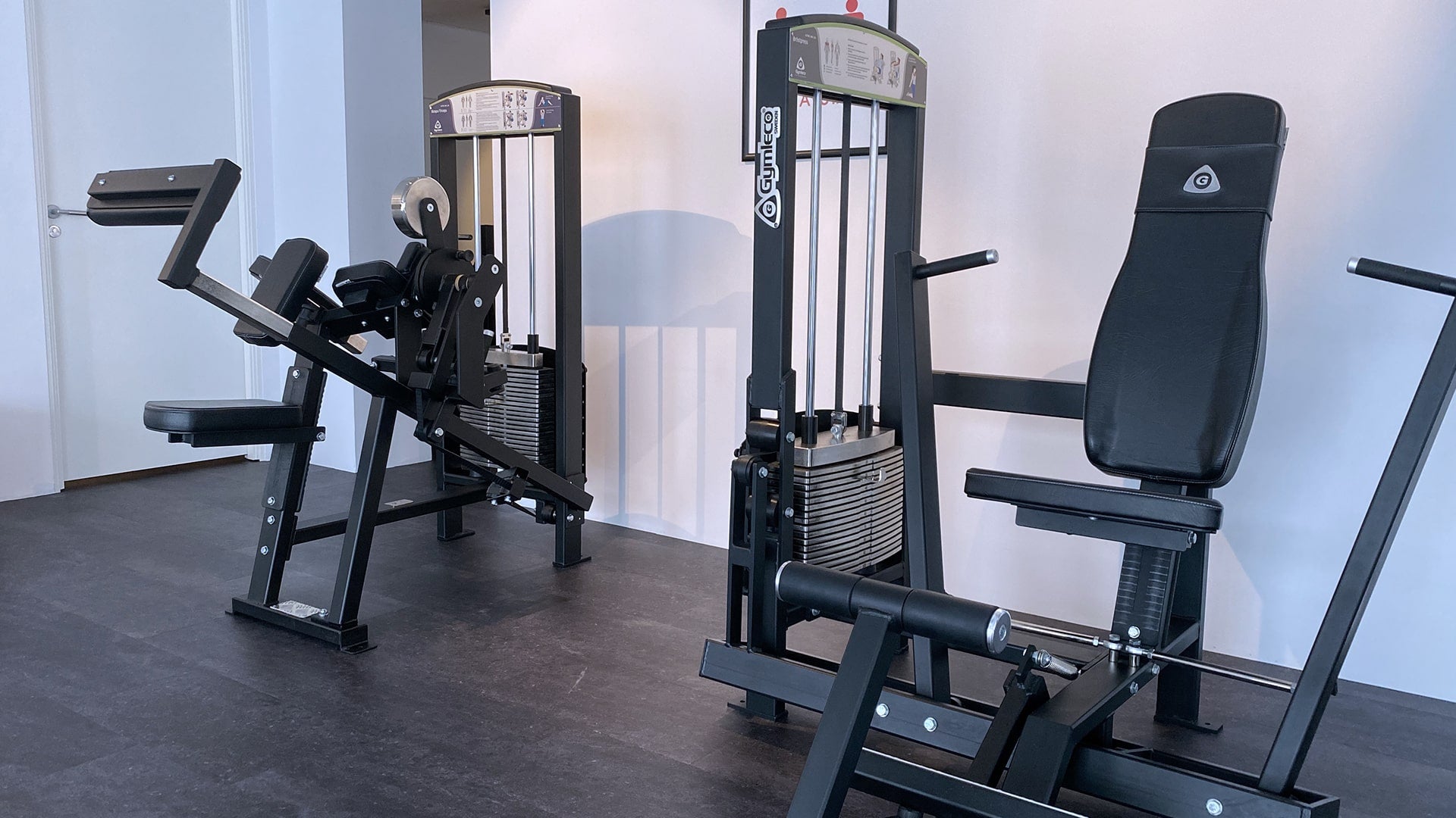 355 Biceps/Triceps kombimaskin - 355 Biceps/Triceps