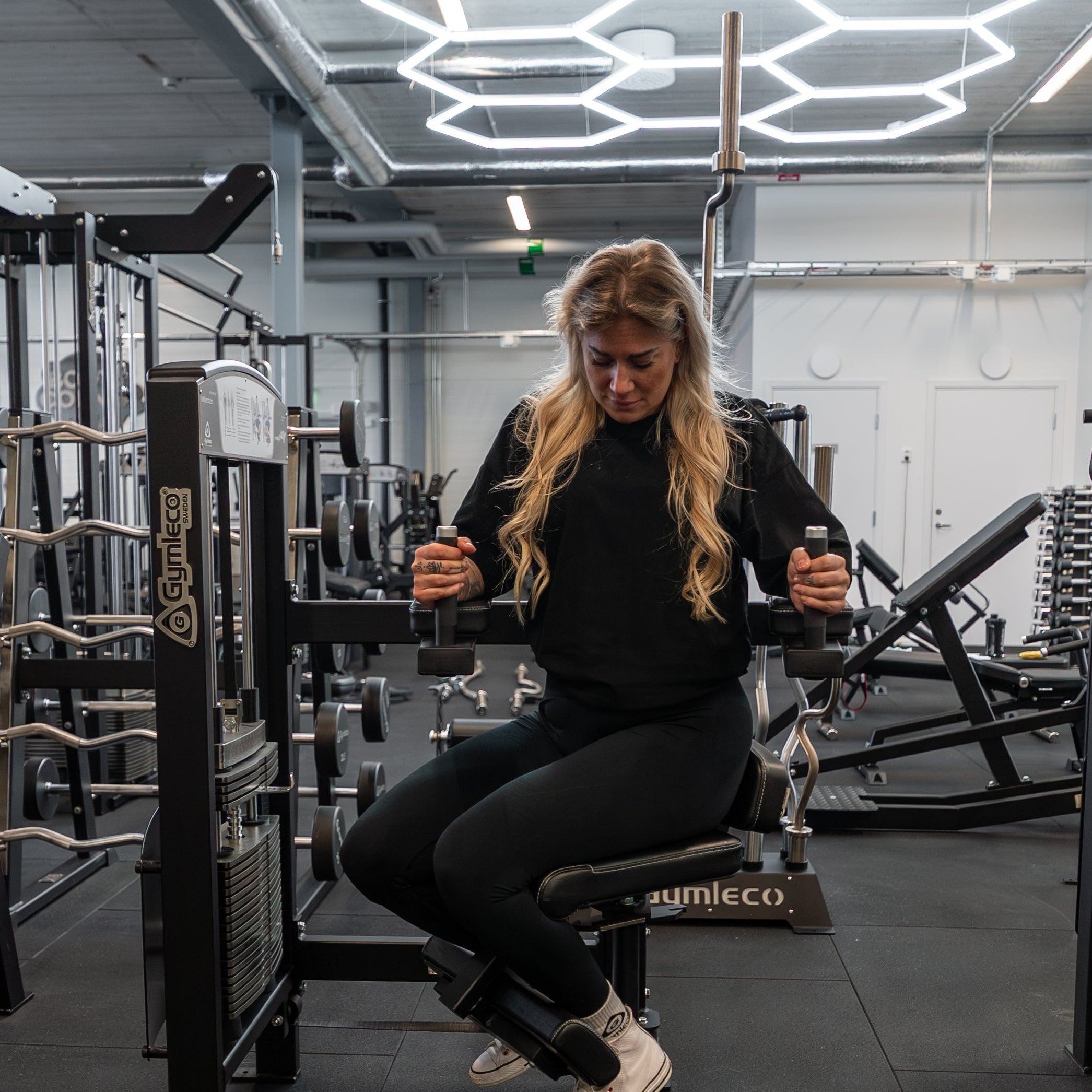 375 Torso Rotation at gym