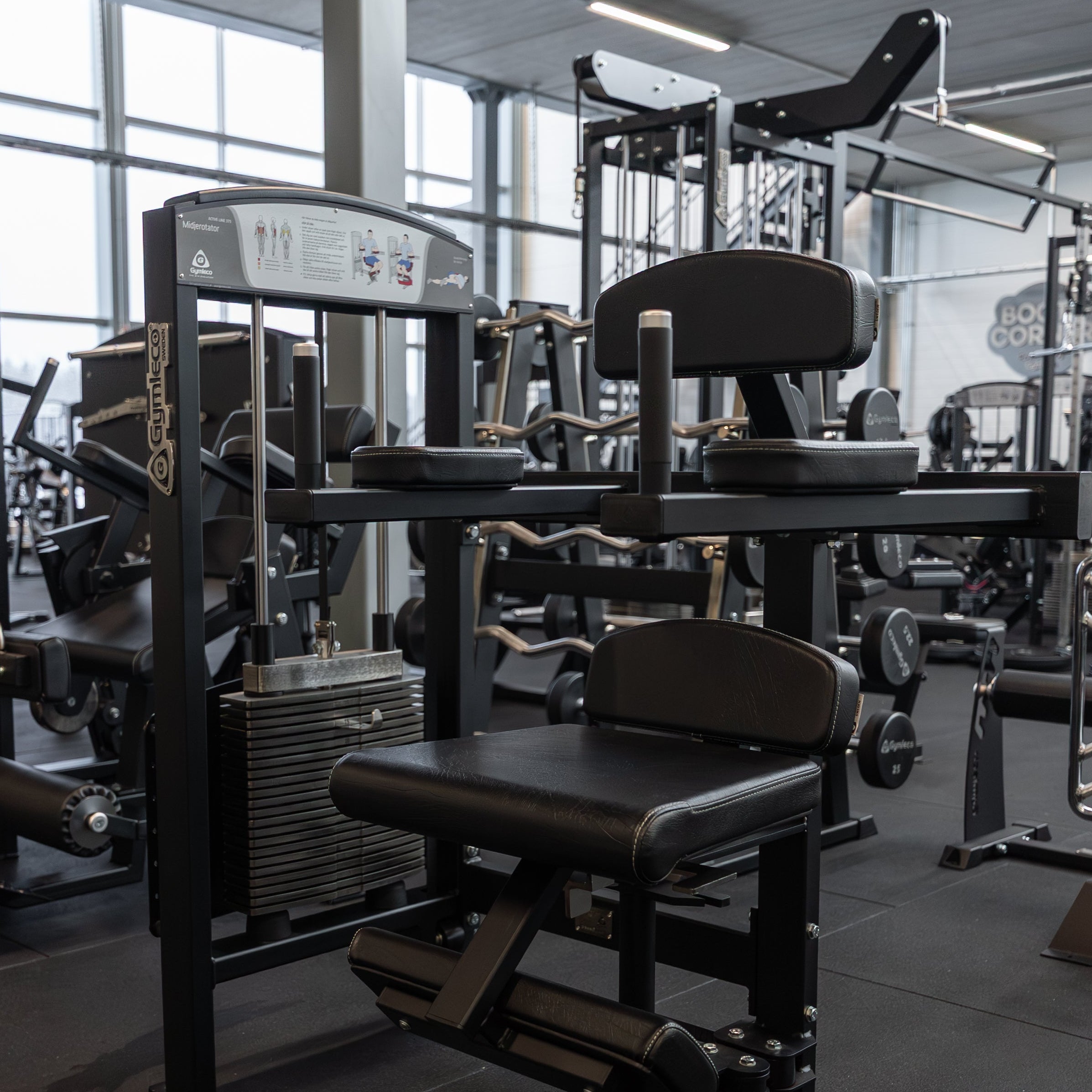 375 Torso Rotation at gym