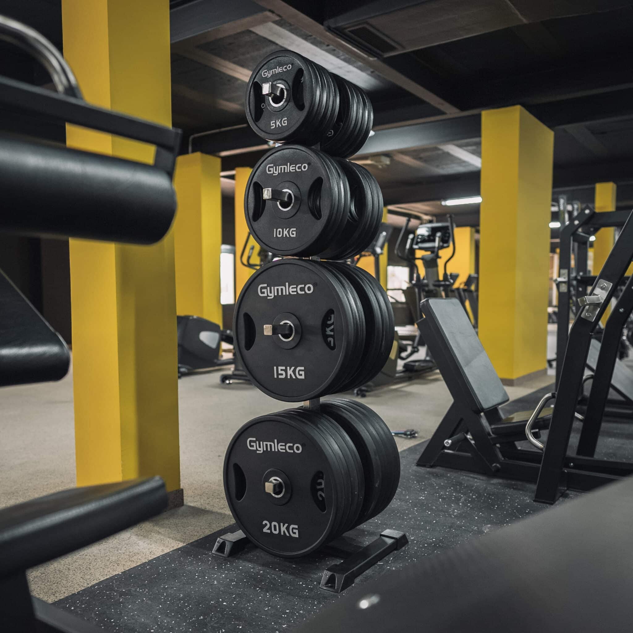 weightplates rack 8 places - viktskivor förvaring 8 platser