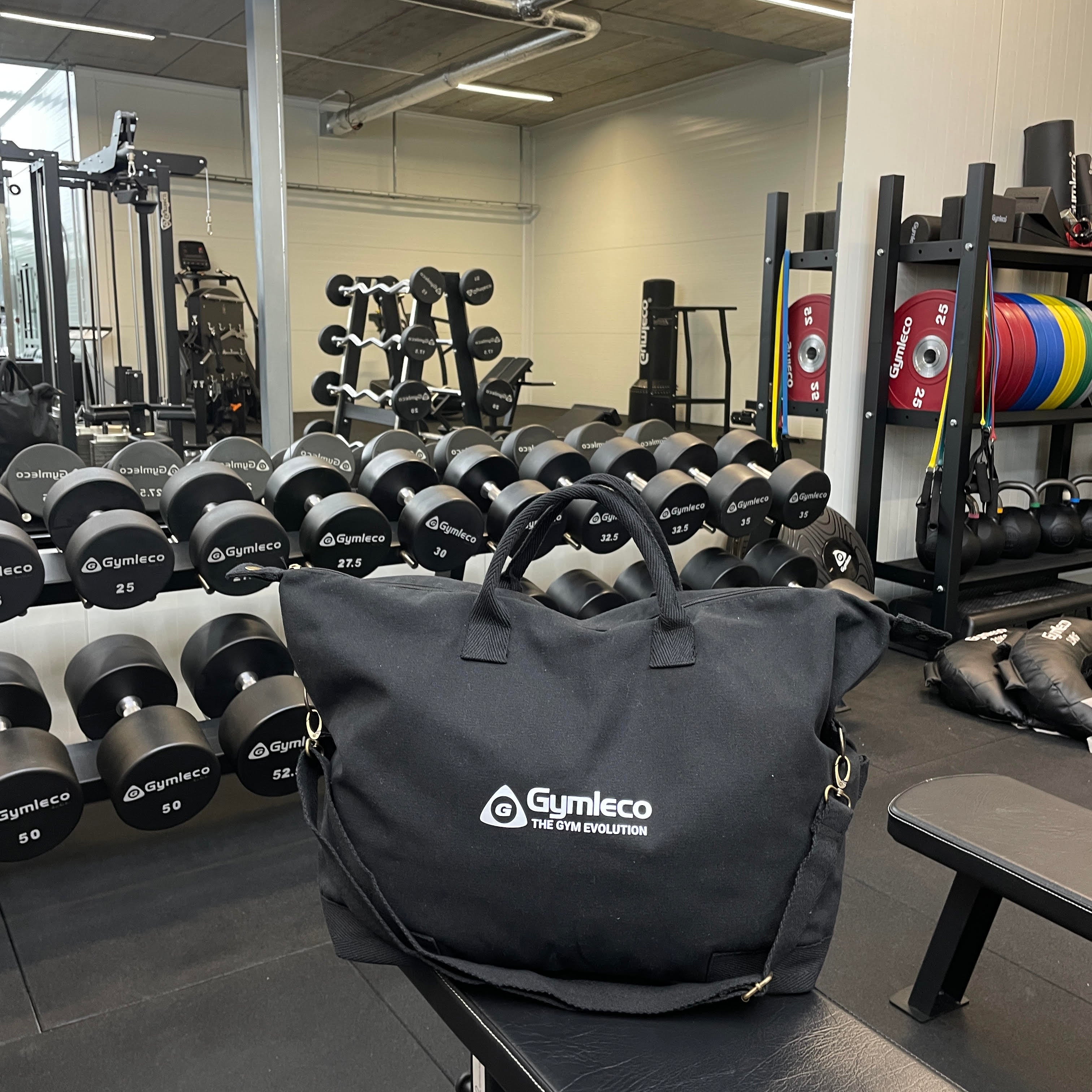 gymleco weekend bag