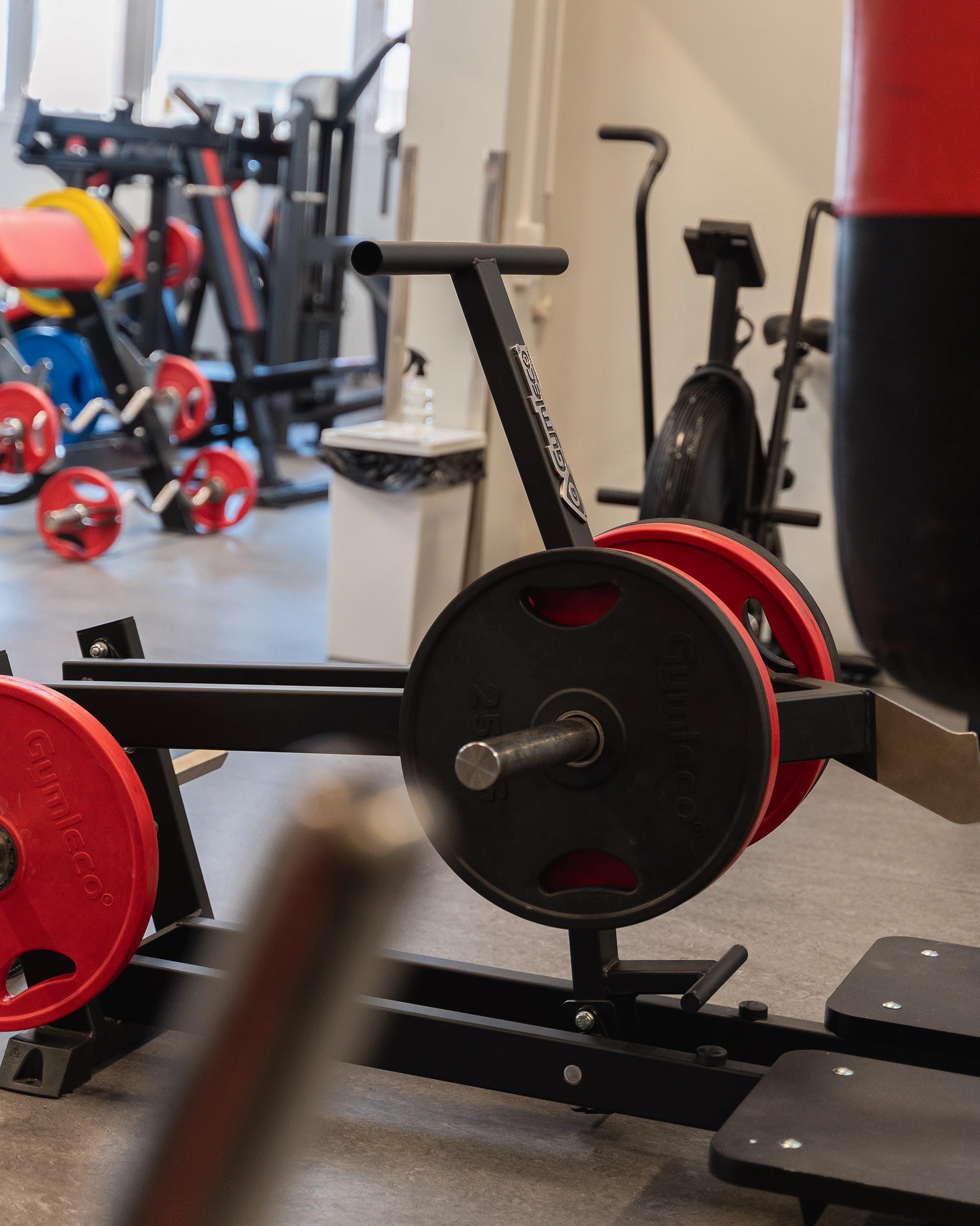 belt squat machine - maskin