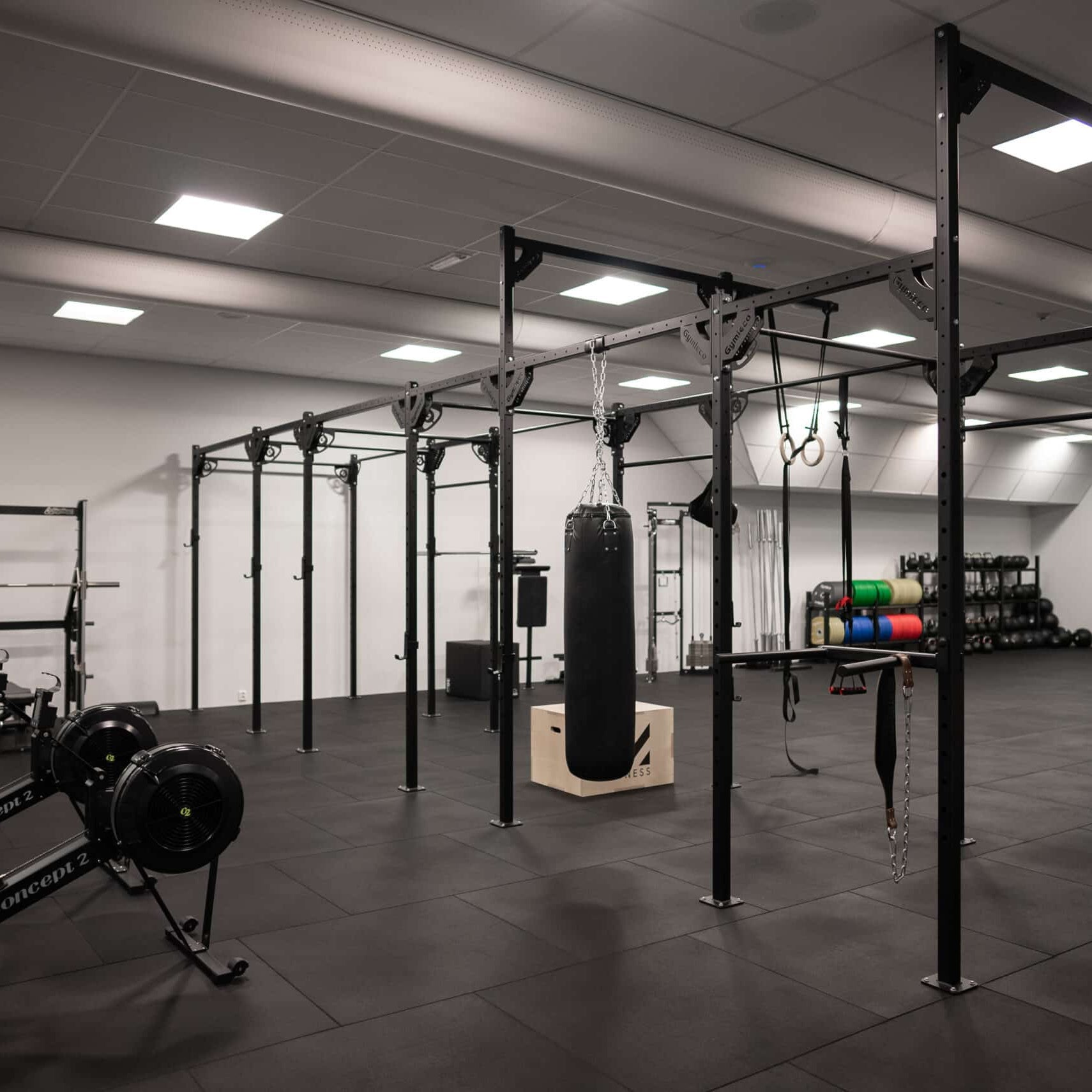Gym med gymutrustning - Gym with gym equipment