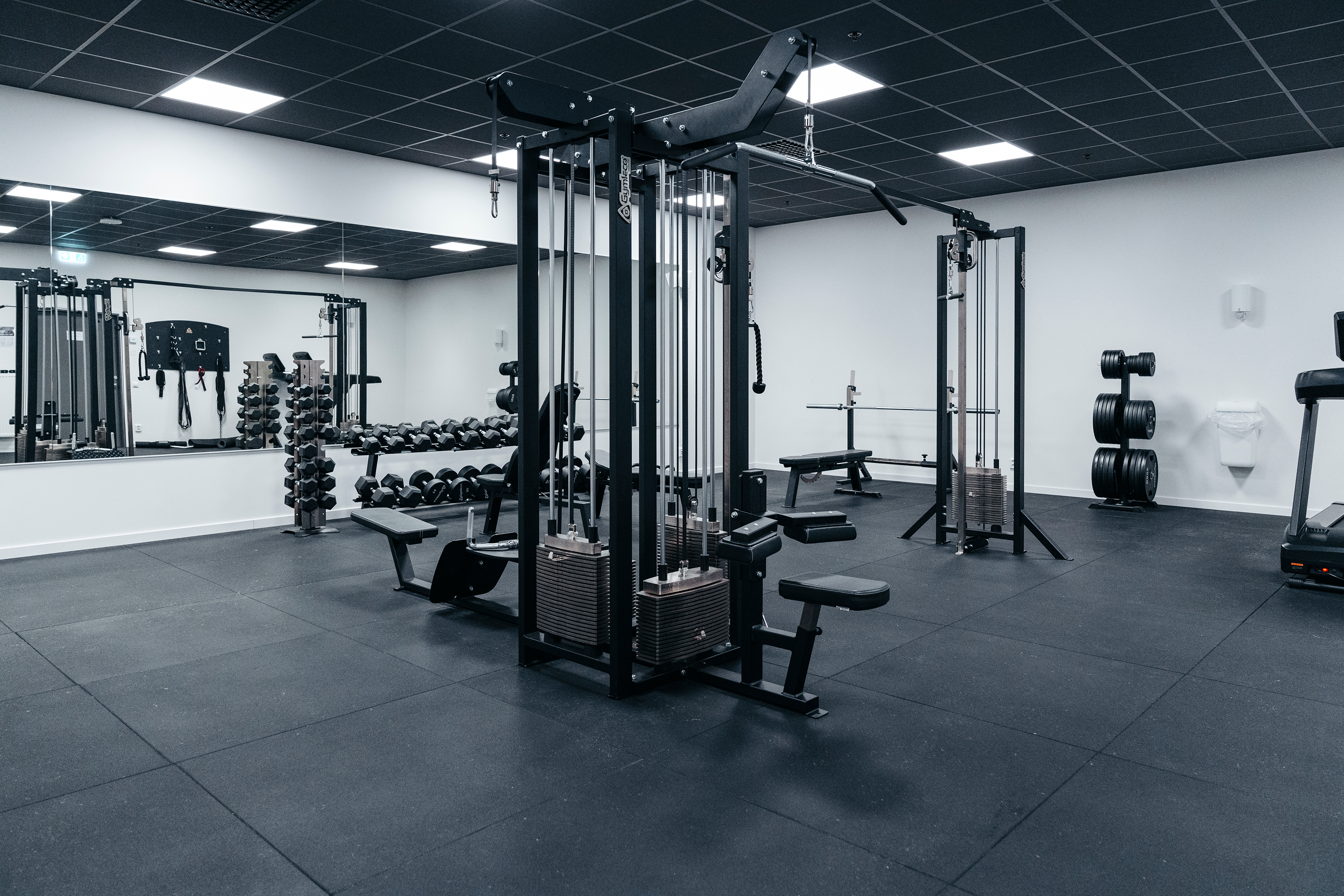 Gymleco gym with machines and free weights.