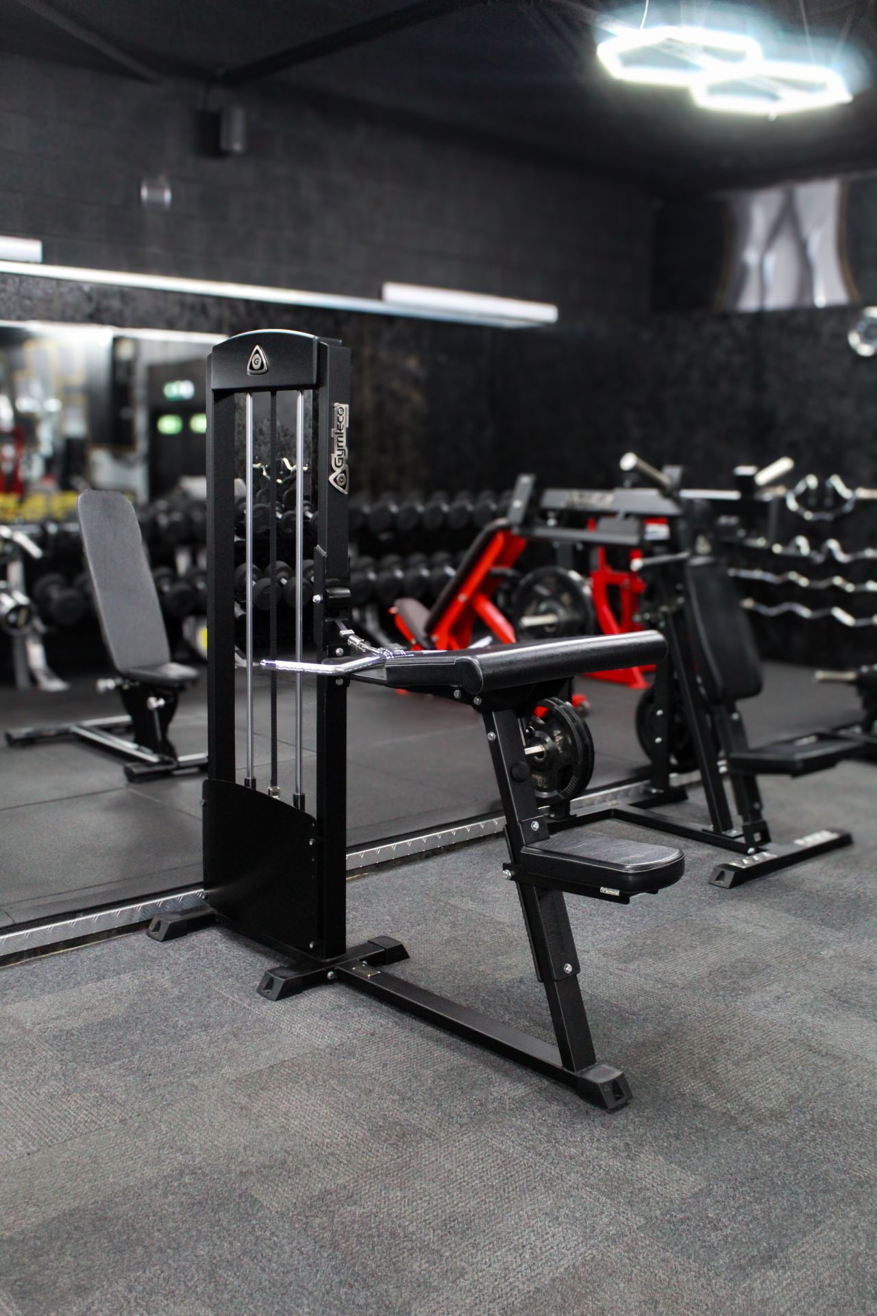 A picture of Gymleco 255 bicep machine in a gym environment.