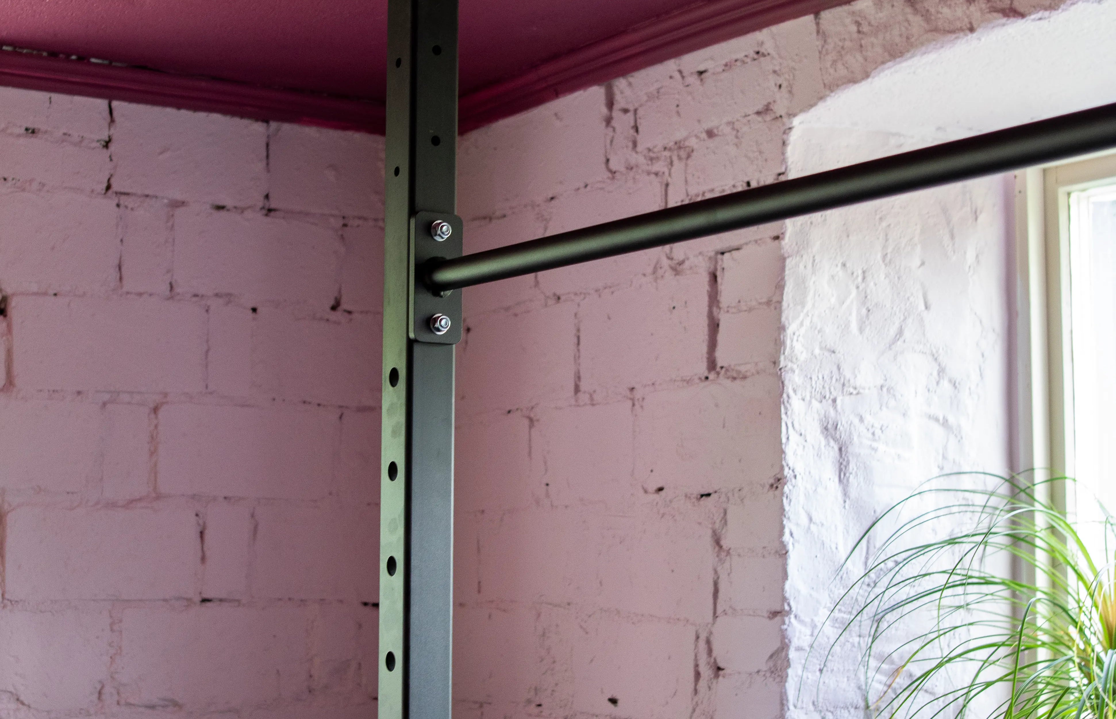Gym bar against a pink wall with plants in the corner