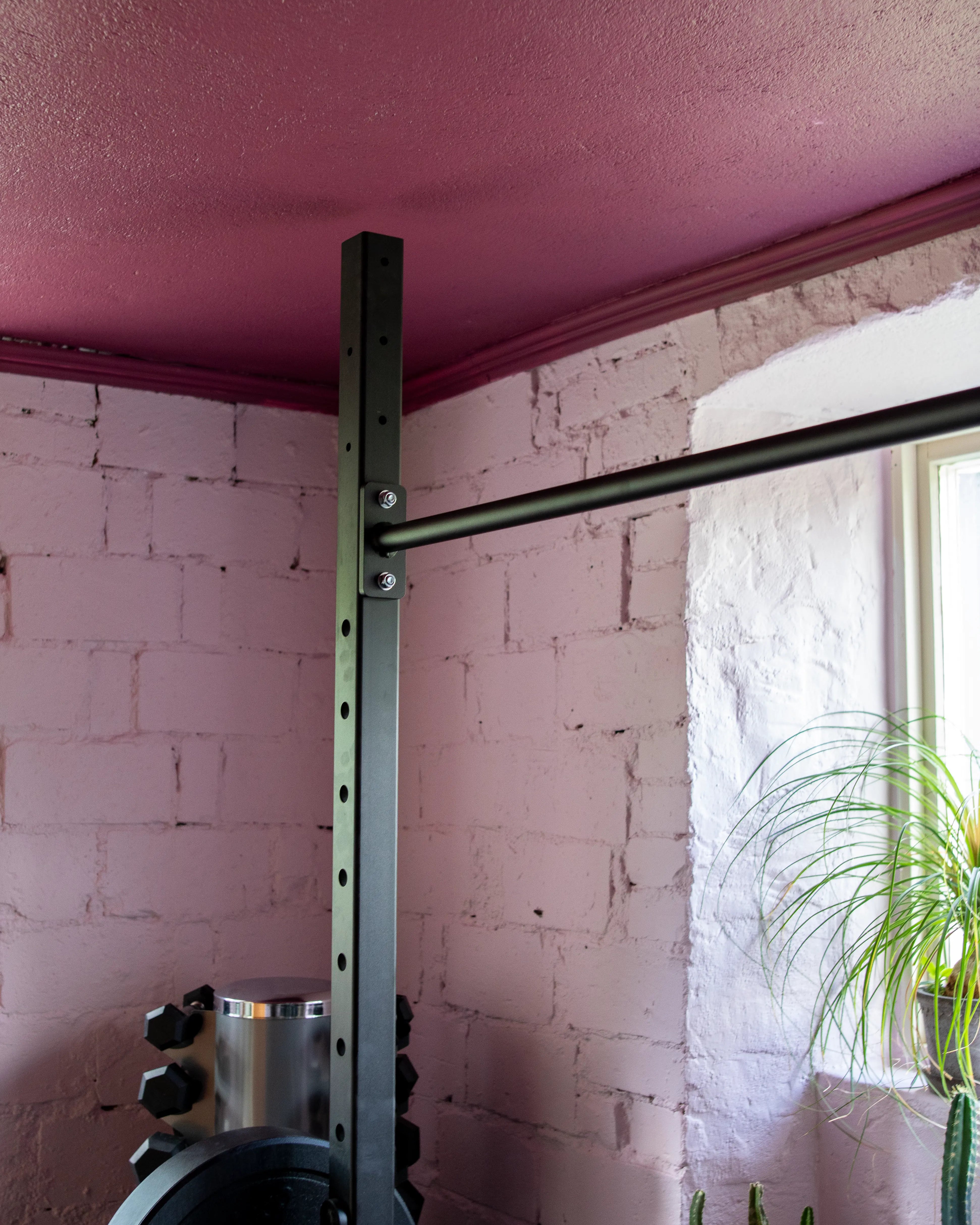 Gym bar against a pink wall with plants in the corner