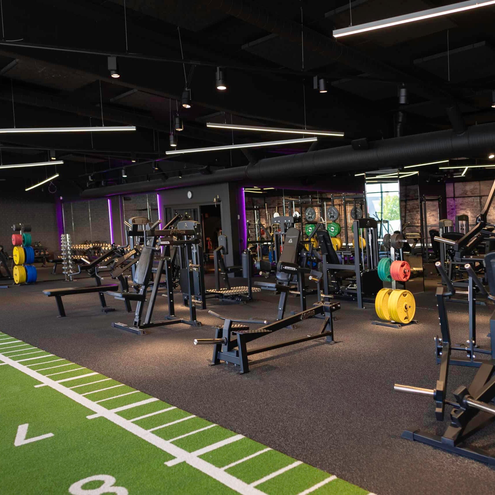 Gymleco 115 T-Bar Row and other machines at gym