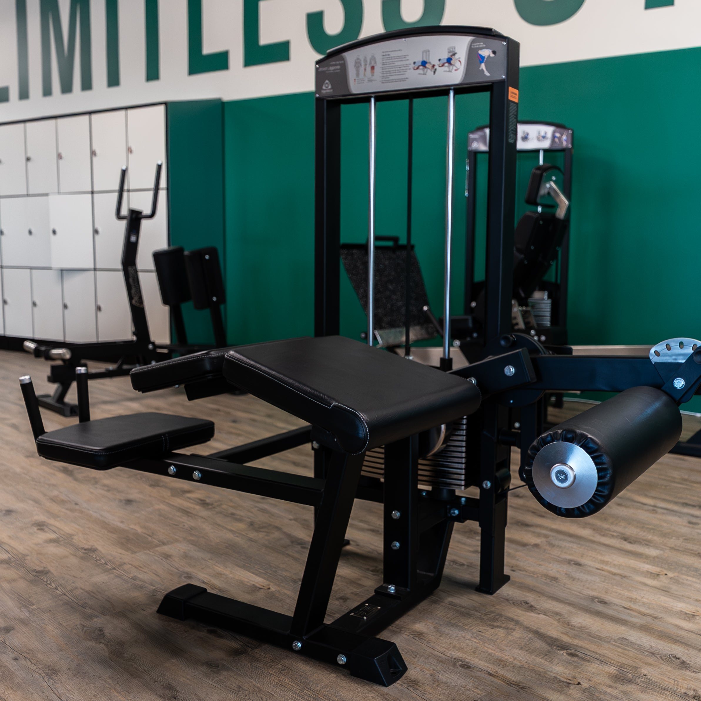 Gymleco 342R Lying Leg Curl, Adjustable at gym