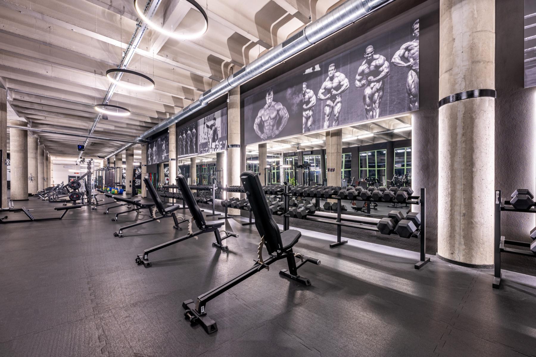 Gymleco equipment at Legends Gym