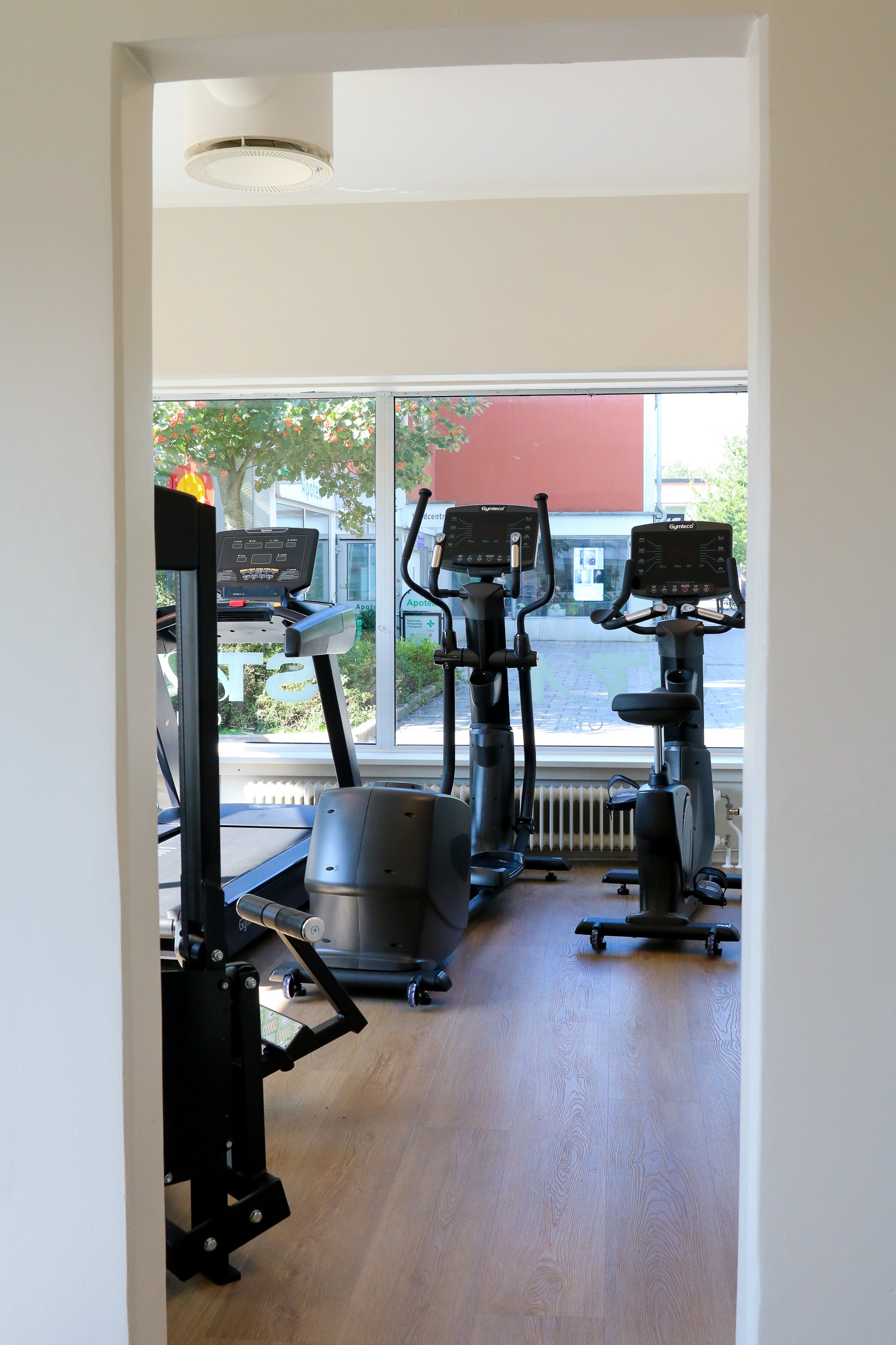 Gymleco gym equipment in a room with a window view of trees and a building.