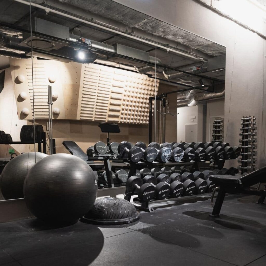 Gym med hantlar och pilatesboll - Gym with dumbbells and pilates ball