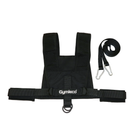 harness for sled sele