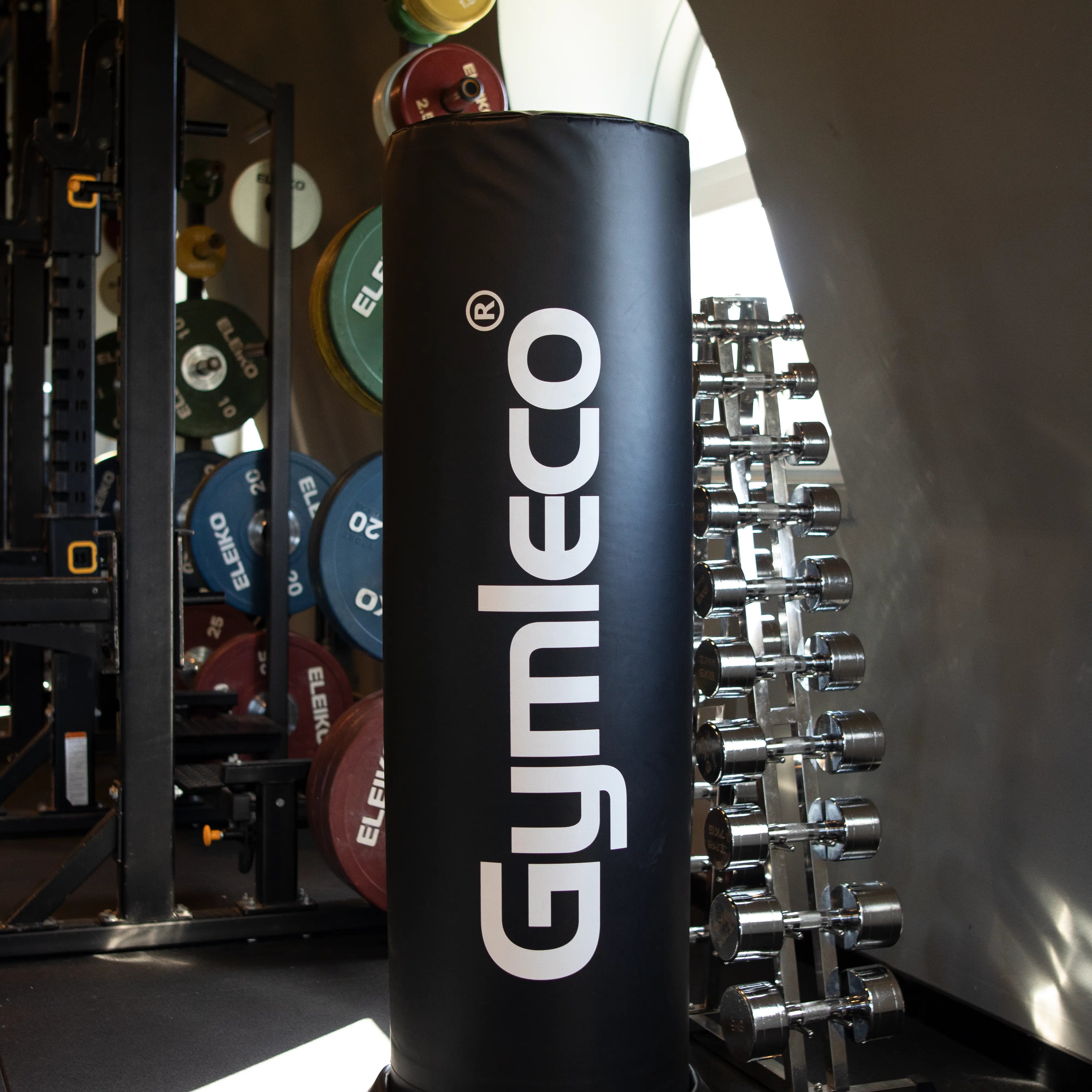 Standing Punching Bag at gym
