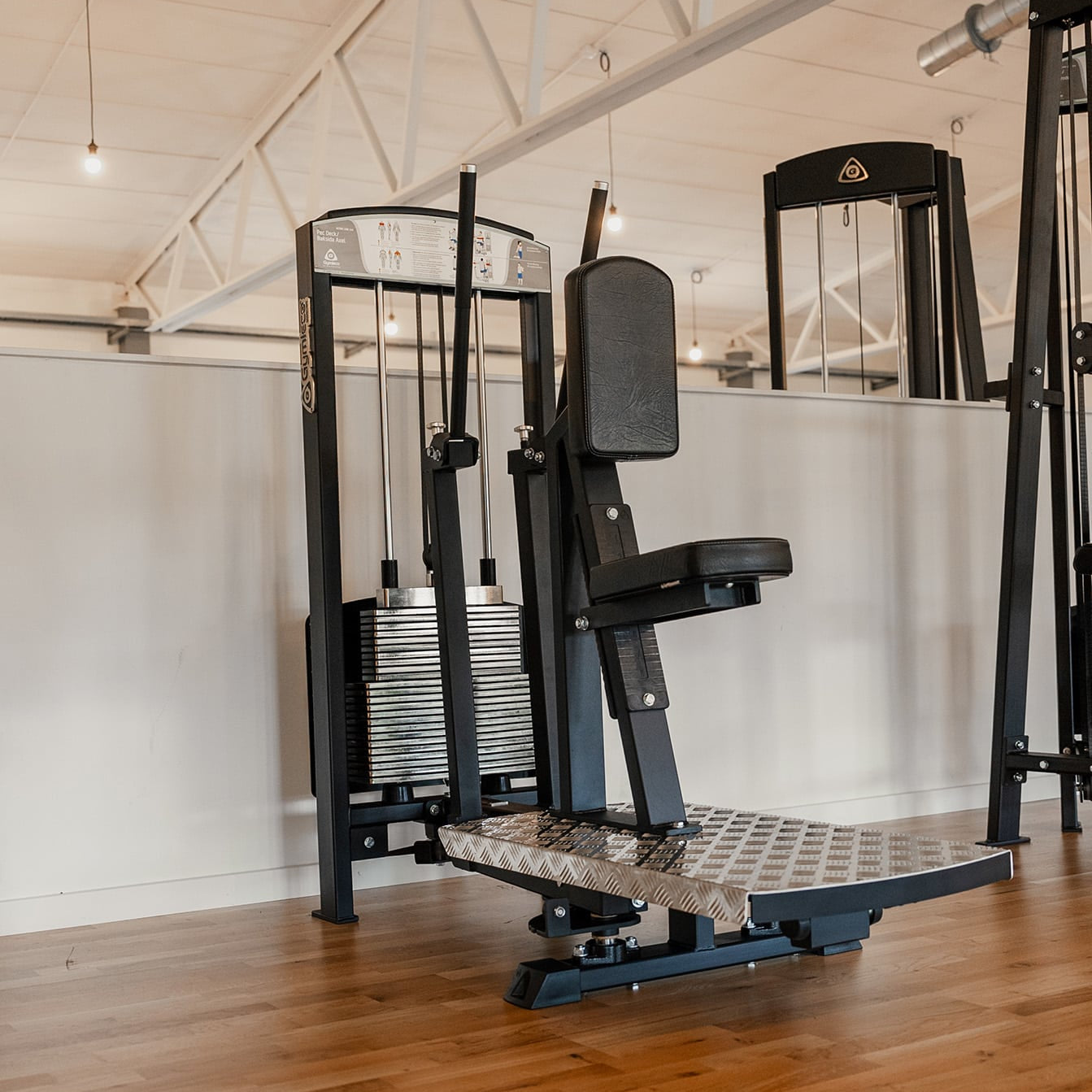 Gymleco 333 Rear Deltoid Shoulder at gym