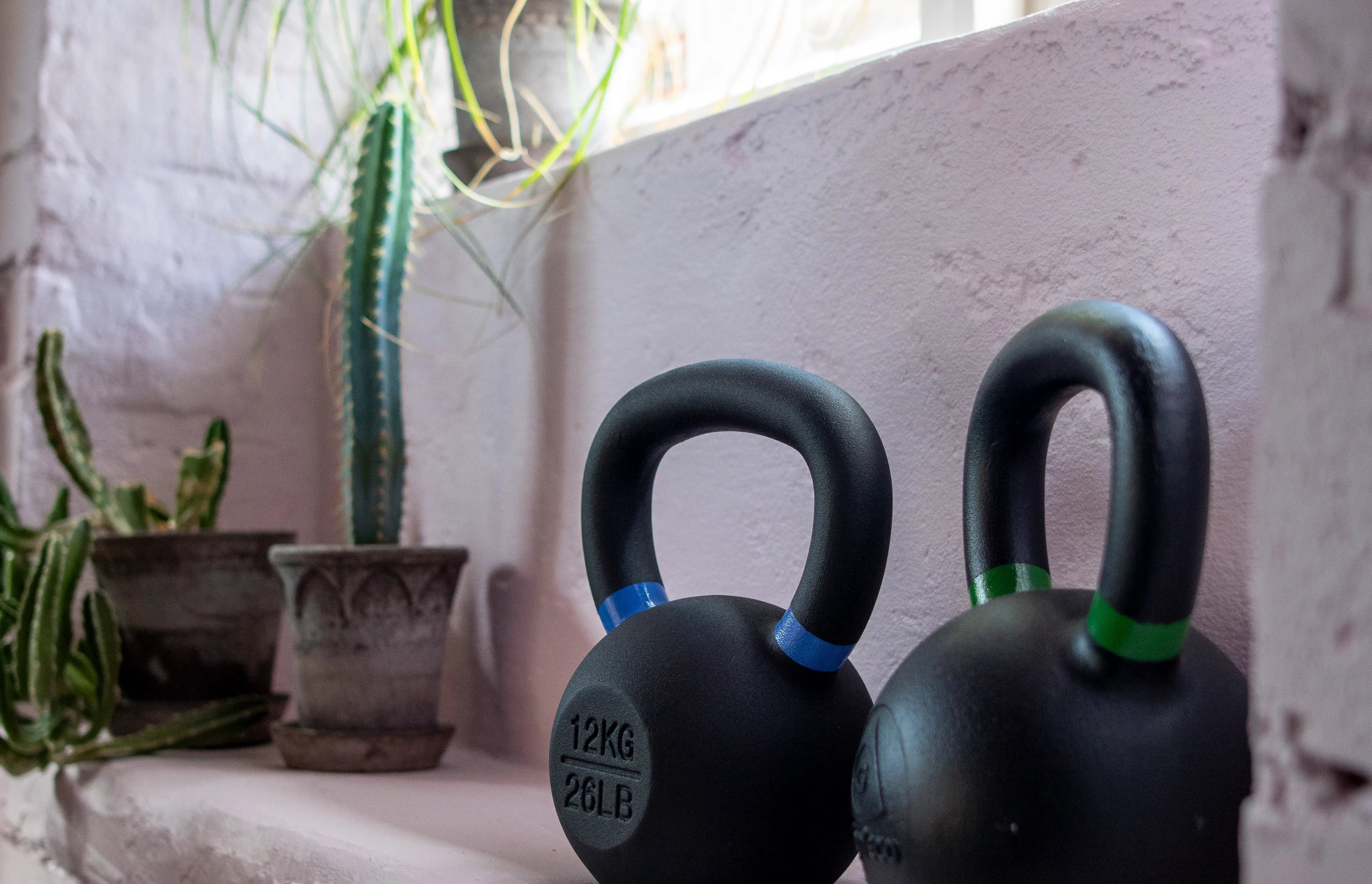 Two black kettlebells on a windowsill with plants in the background