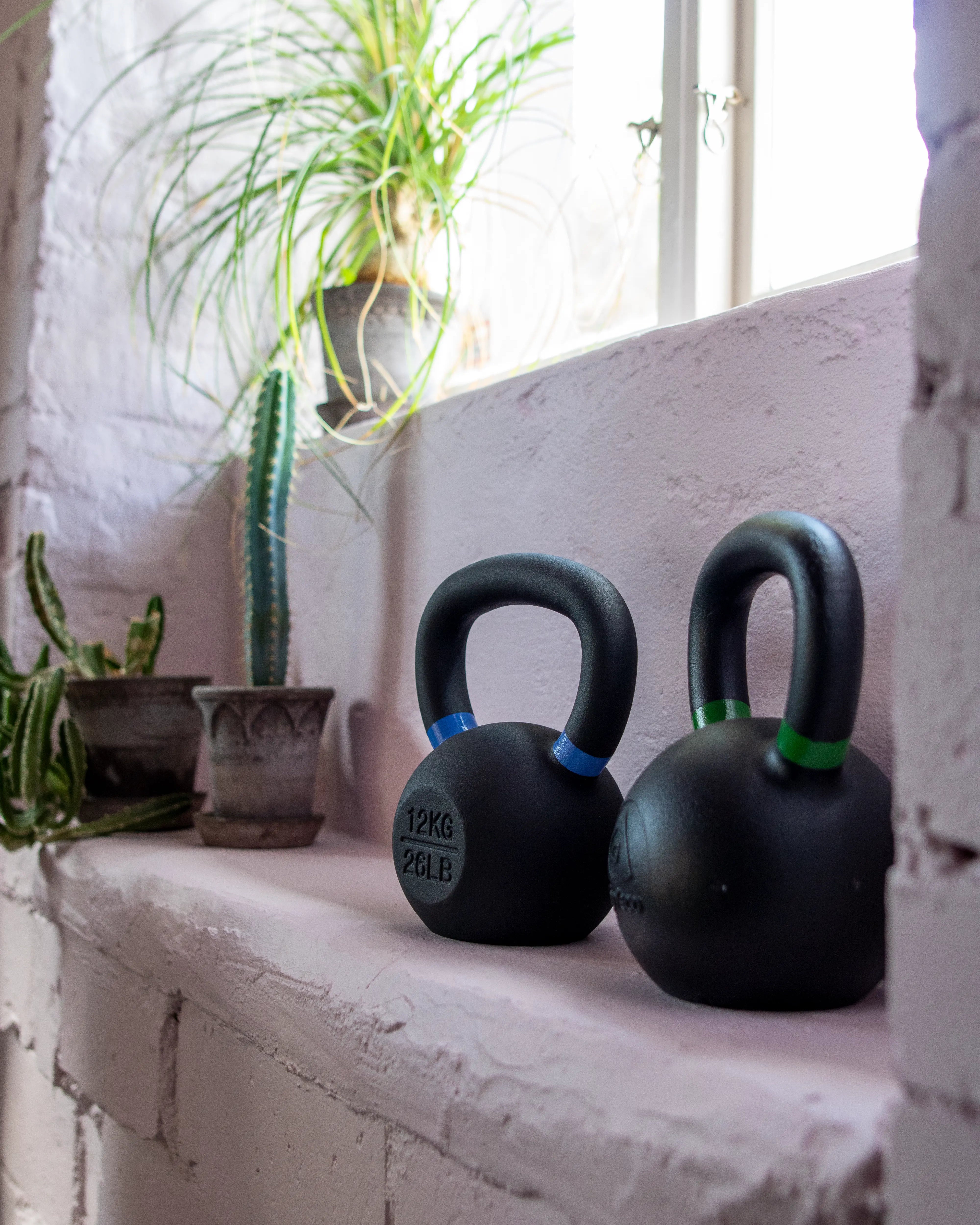 Two black kettlebells on a windowsill with plants in the background