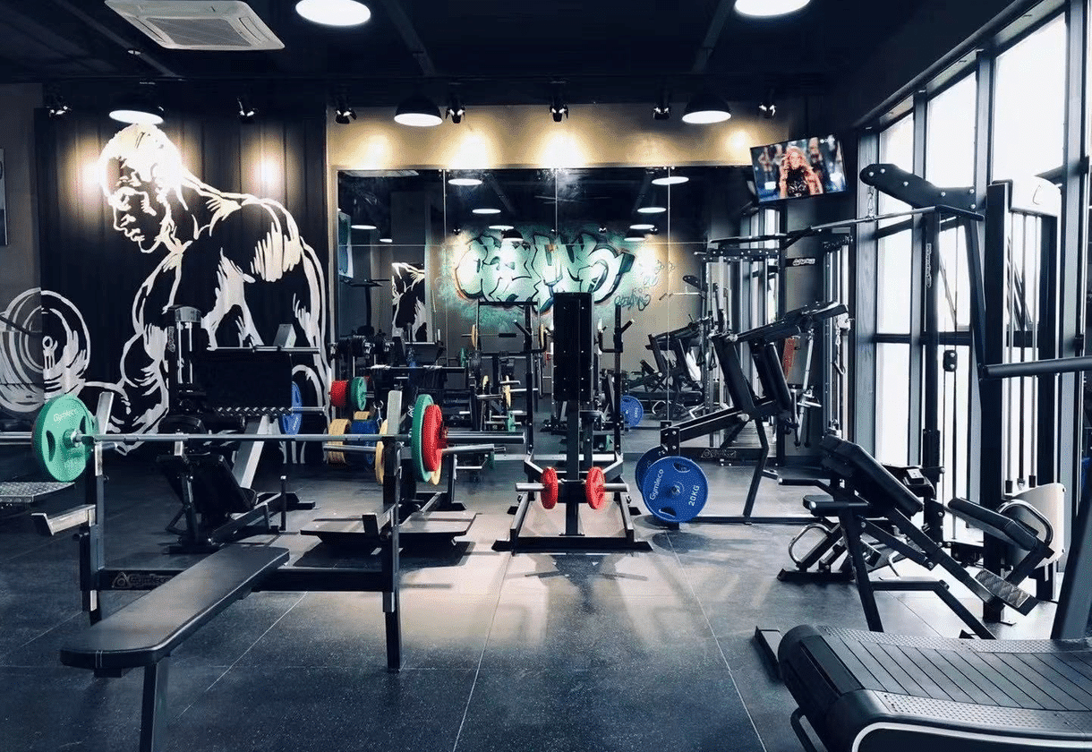 Gymleco Kina - Gymleco China