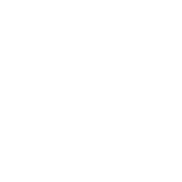 Logo instagram