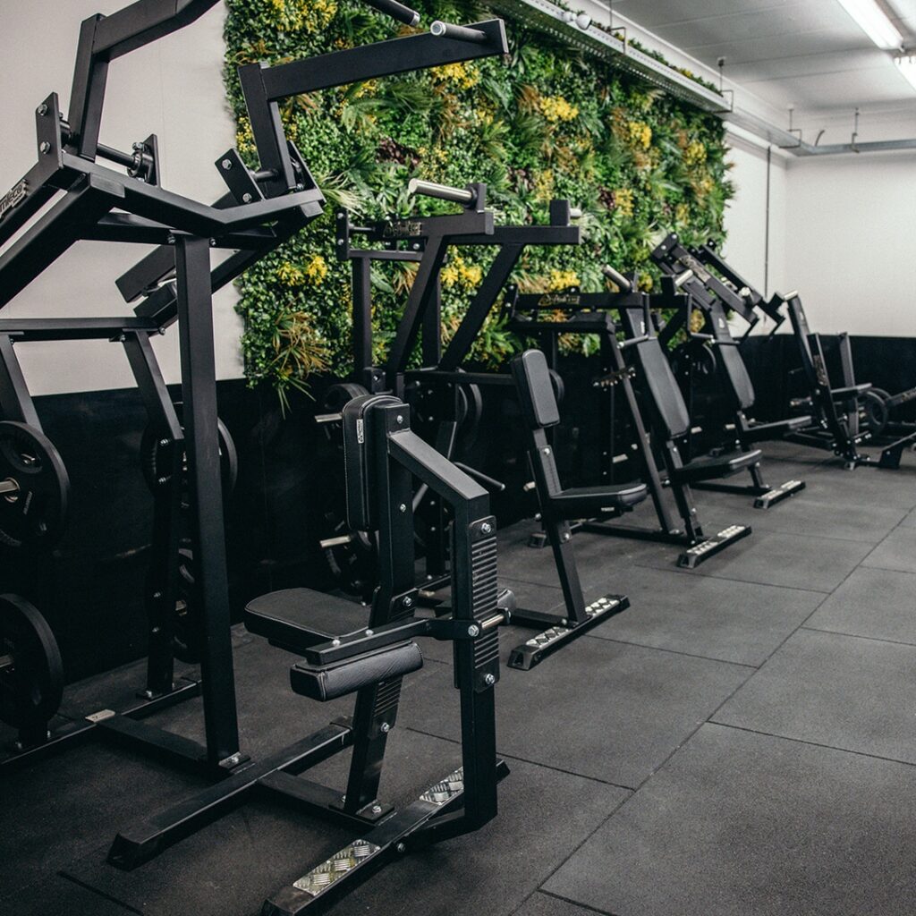 Jungle of gains gym