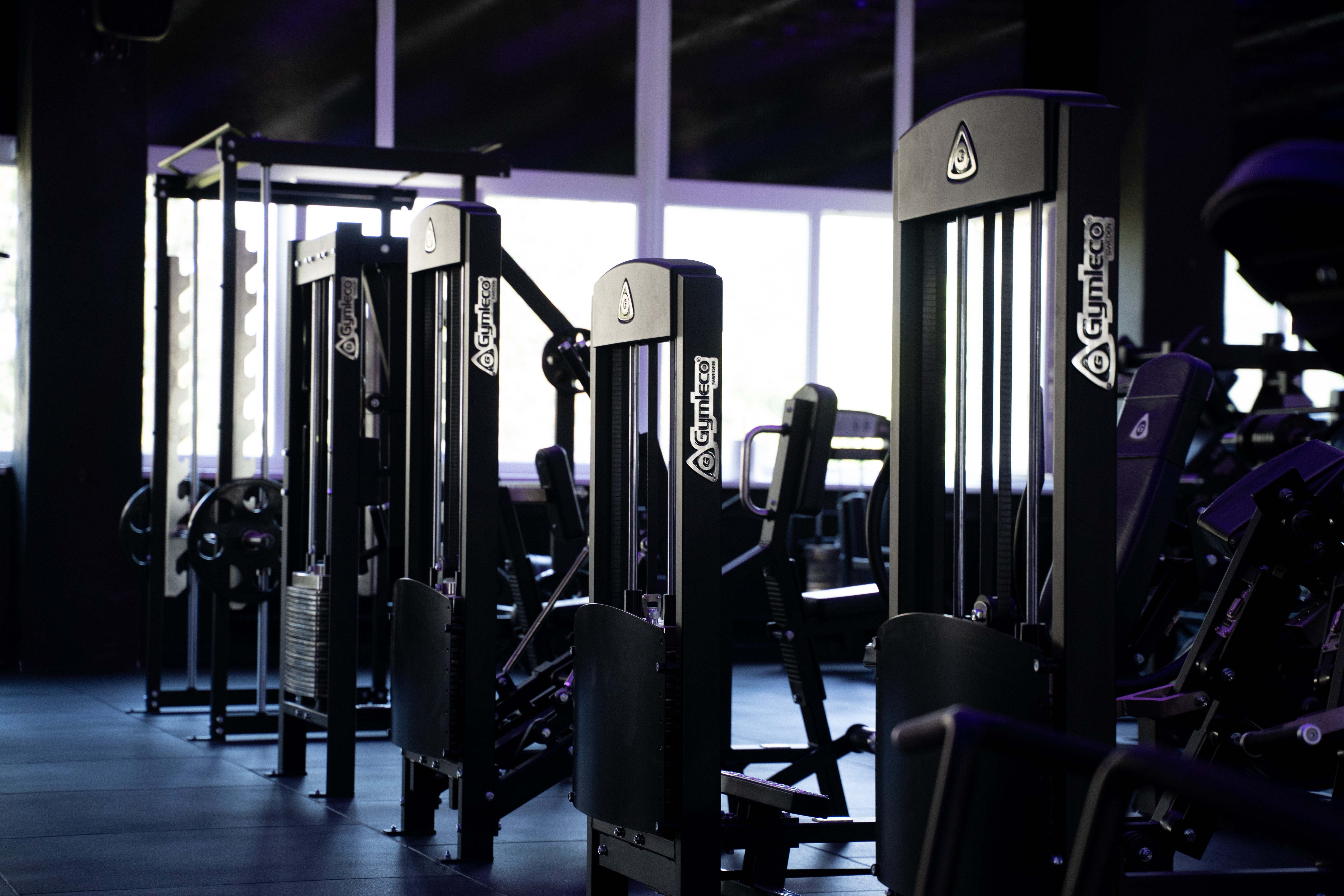 Stallion Premium Fitness