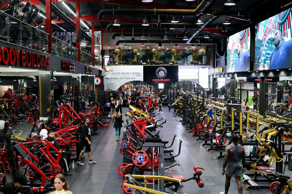 Binous1 Gym