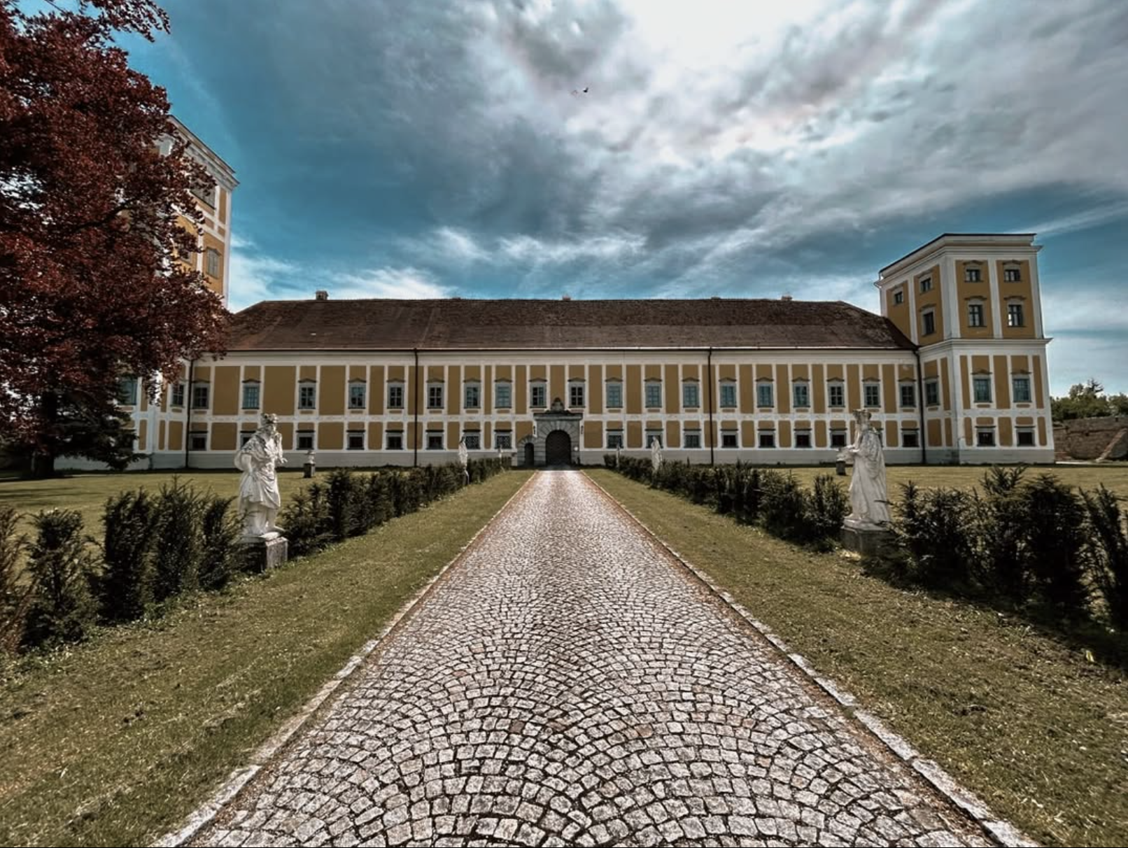 Grand opening of Austria's newest showroom