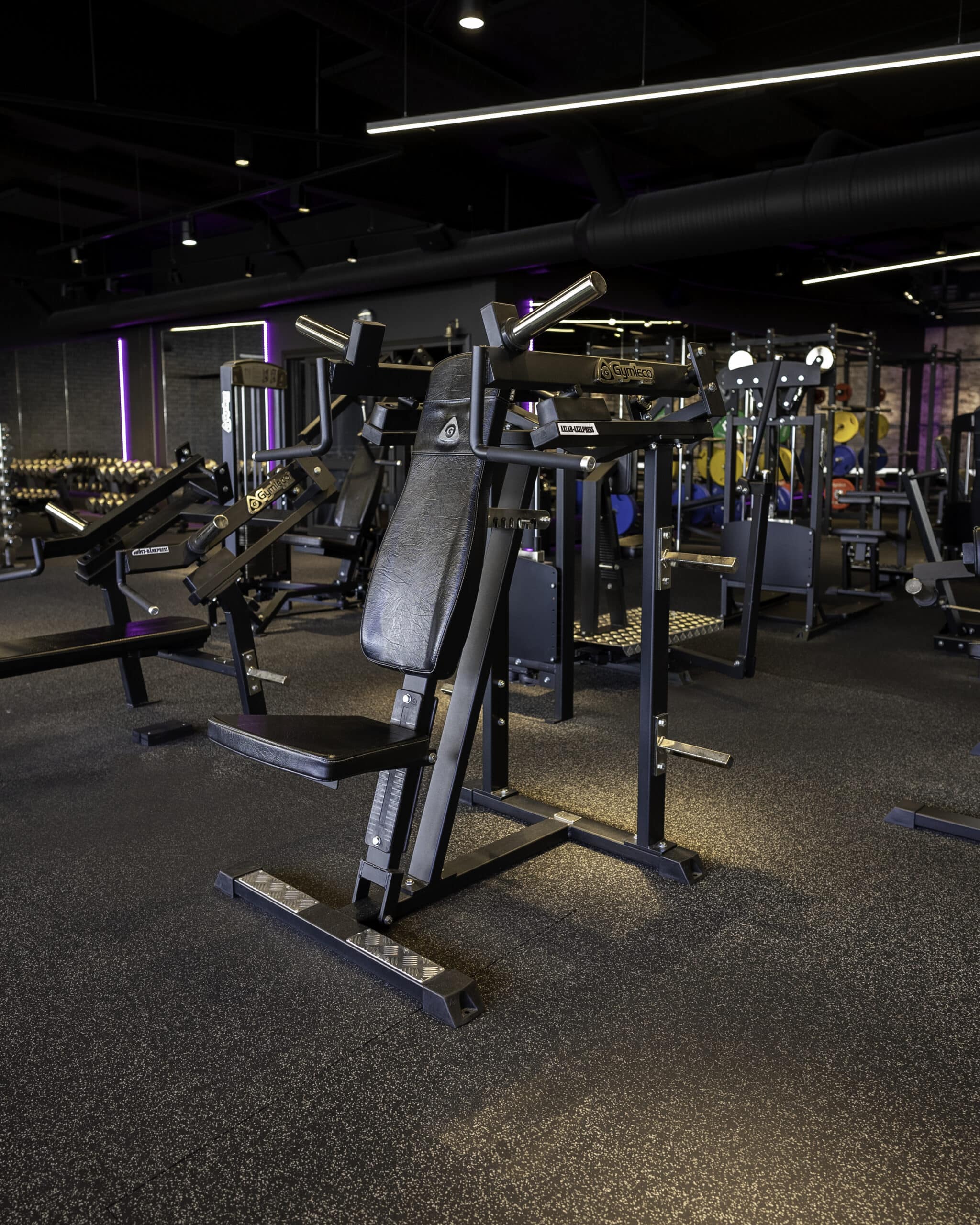 Gymleco 030 Shoulder Press at gym