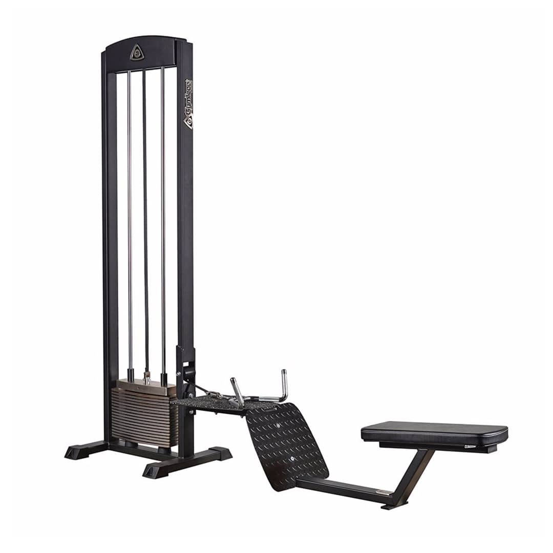 seated arm cable row