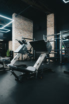 243 Leg Press 45° at gym